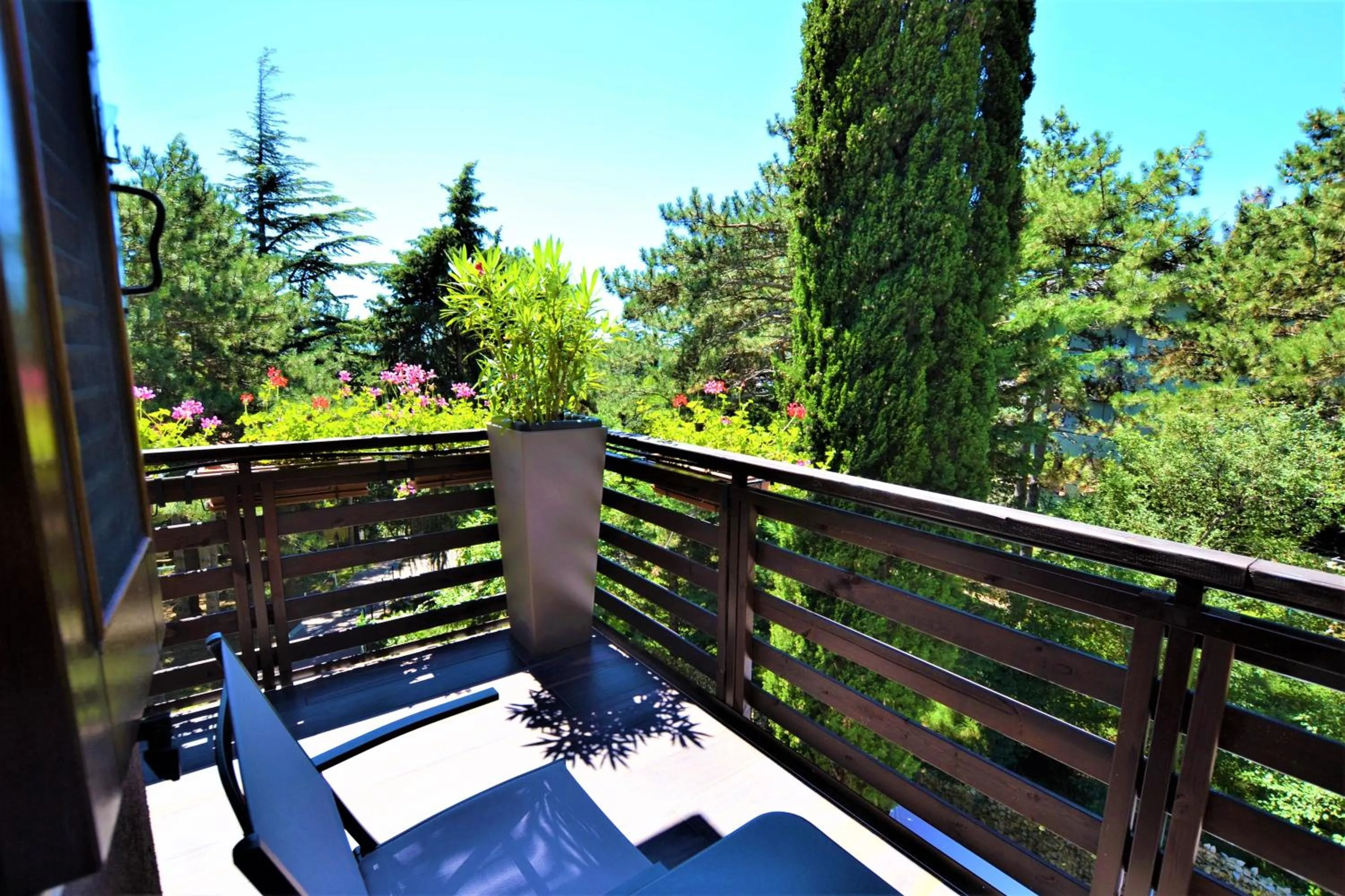 Garden view in Triestè59 B&B