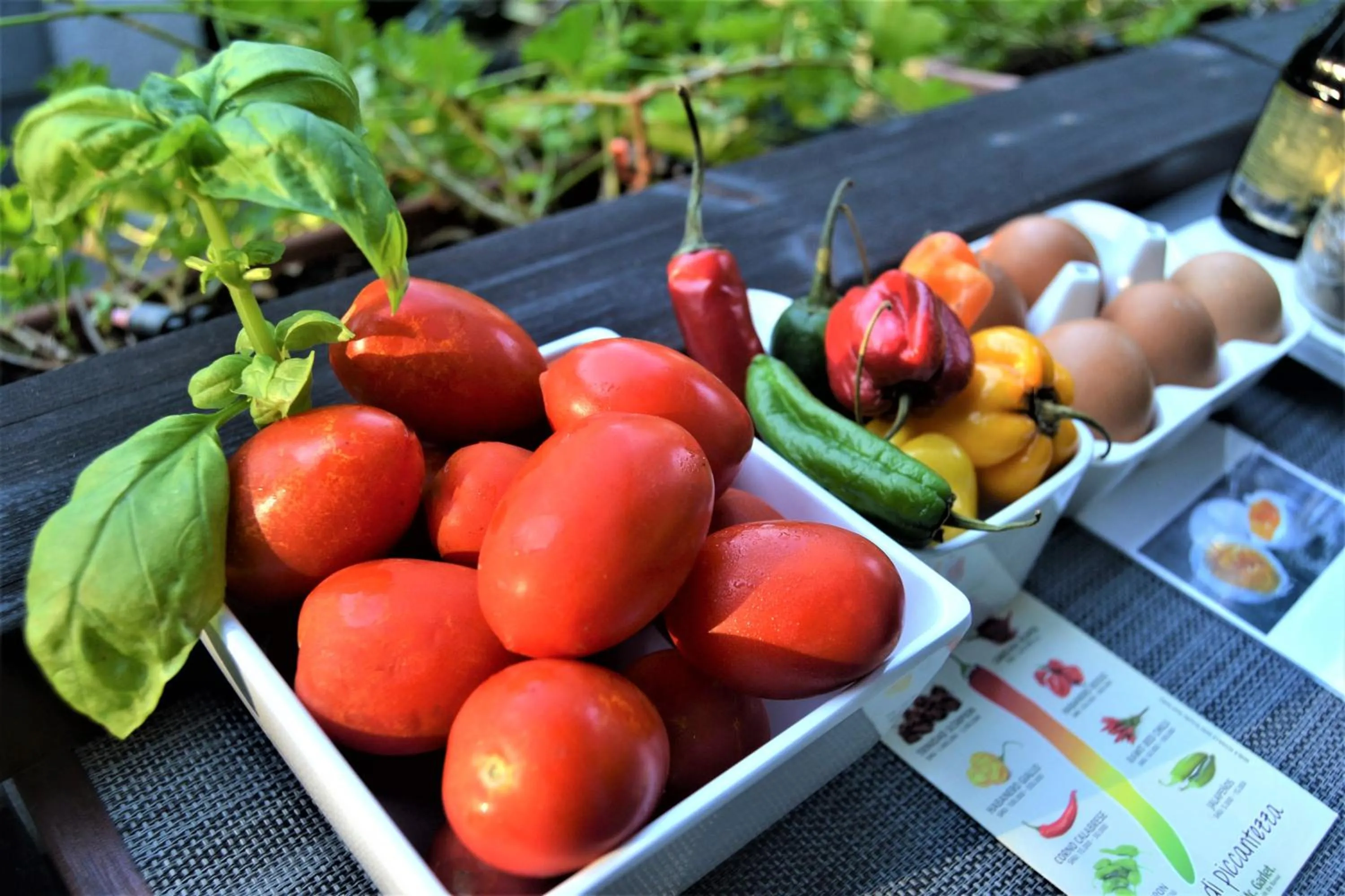 Food and drinks in Triestè59 B&B