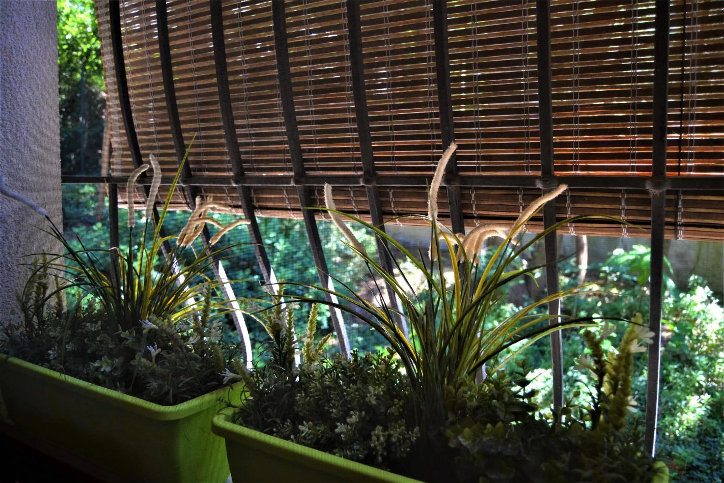 Other in Triestè59 B&B