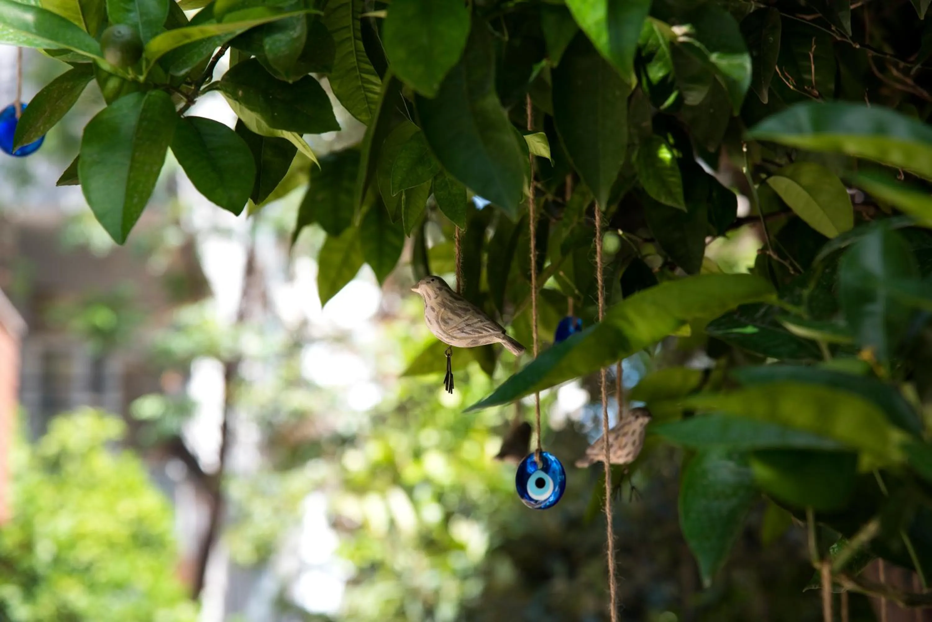 Decorative detail in Trend Suites