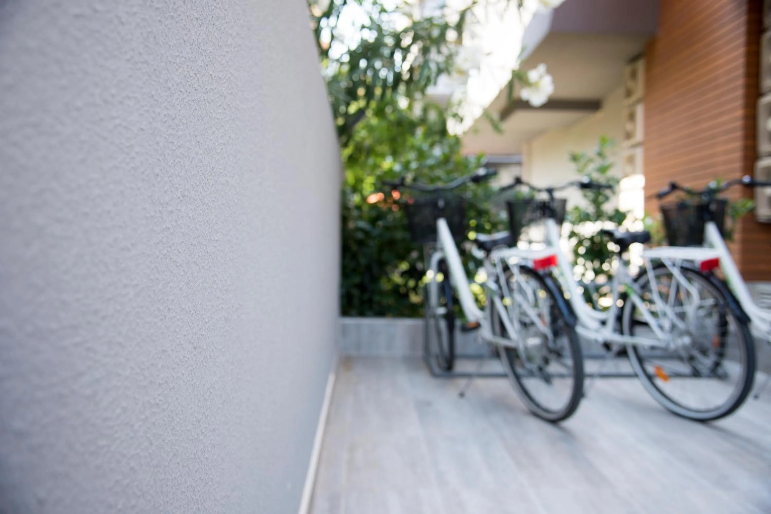 Cycling in Trend Suites