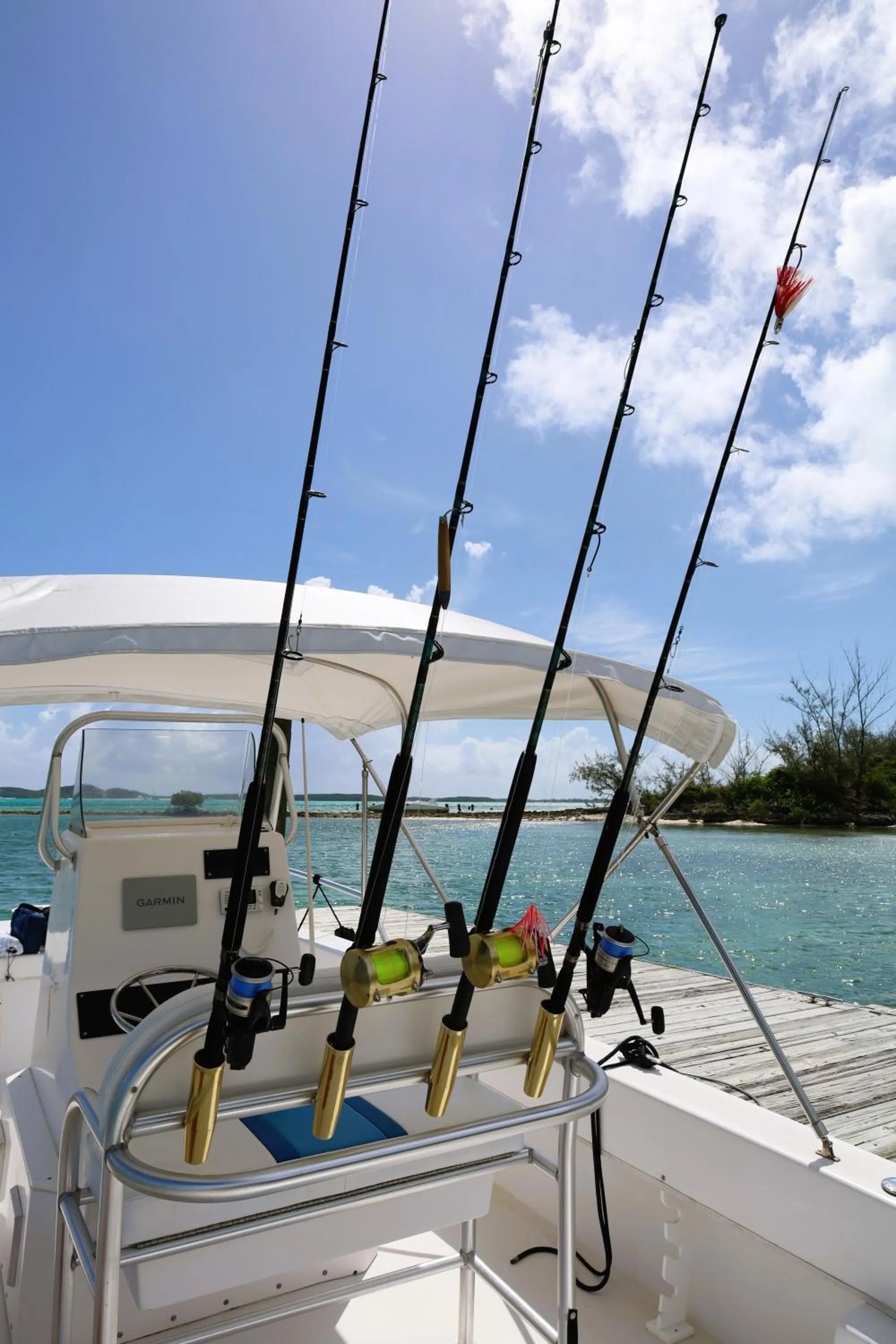 Activities in Augusta Bay