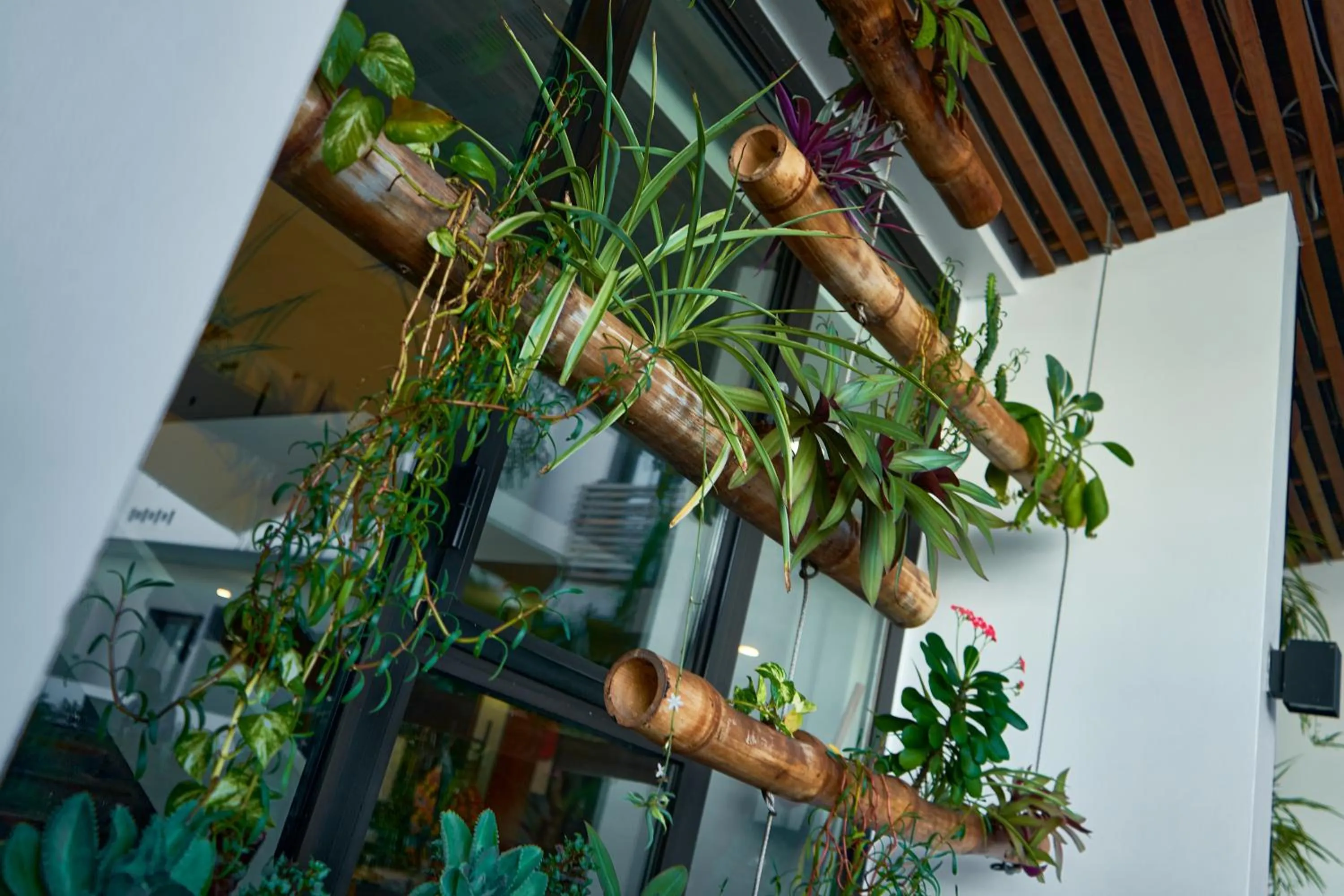 Patio in ONOMO Hotel Lomé