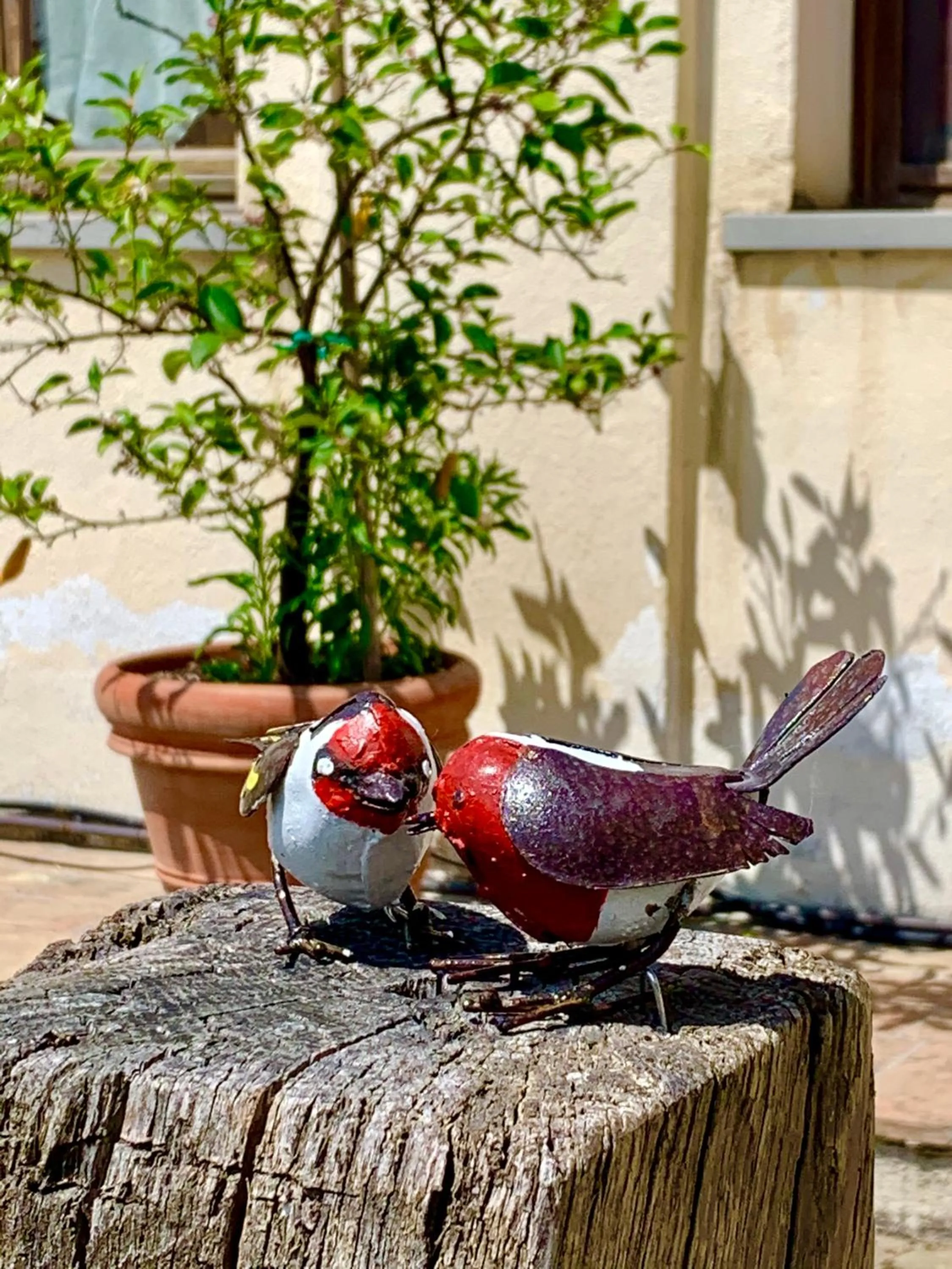 Garden in La Corte di Ronzano