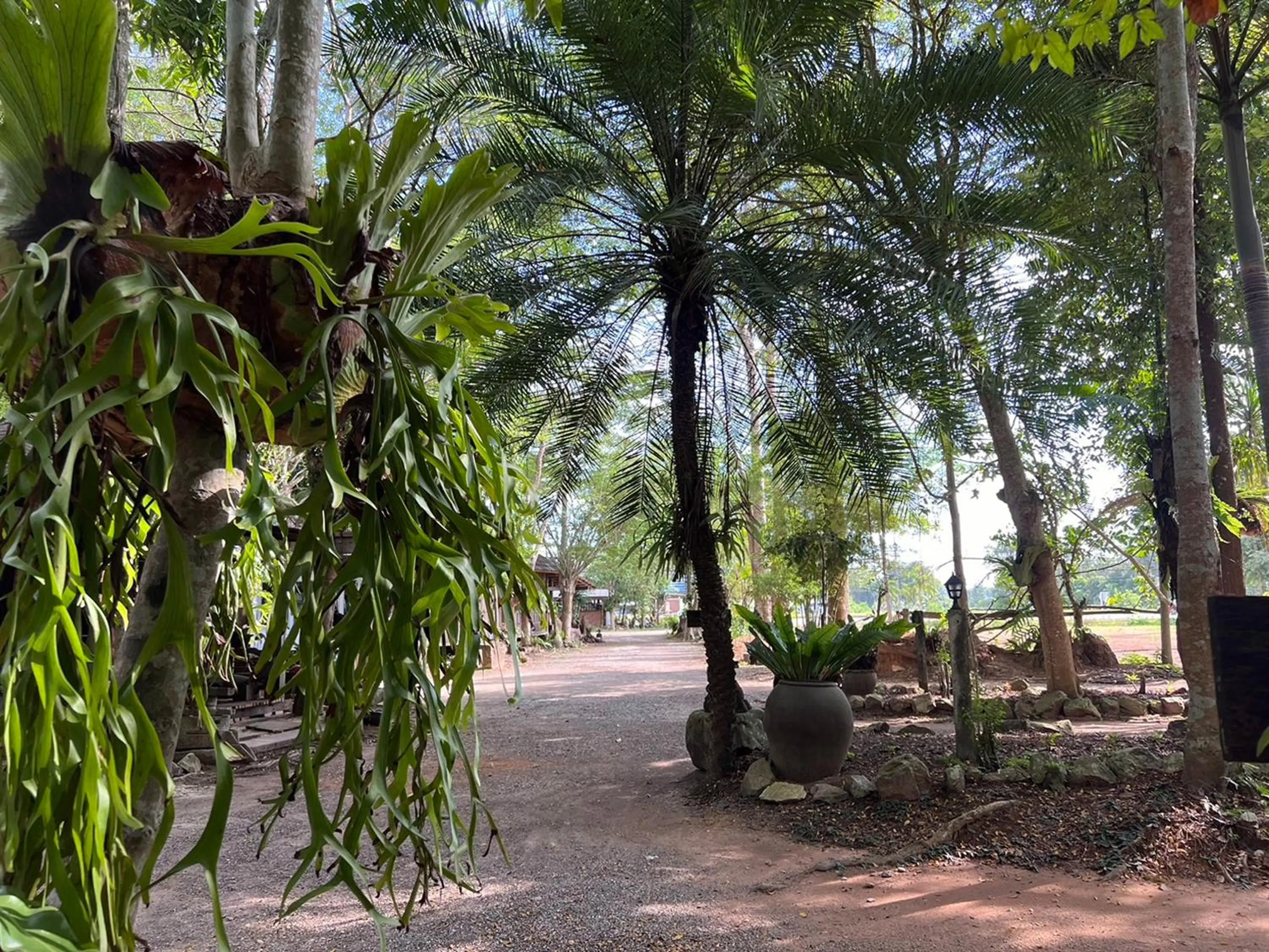 Natural landscape in Pang Mai Resort