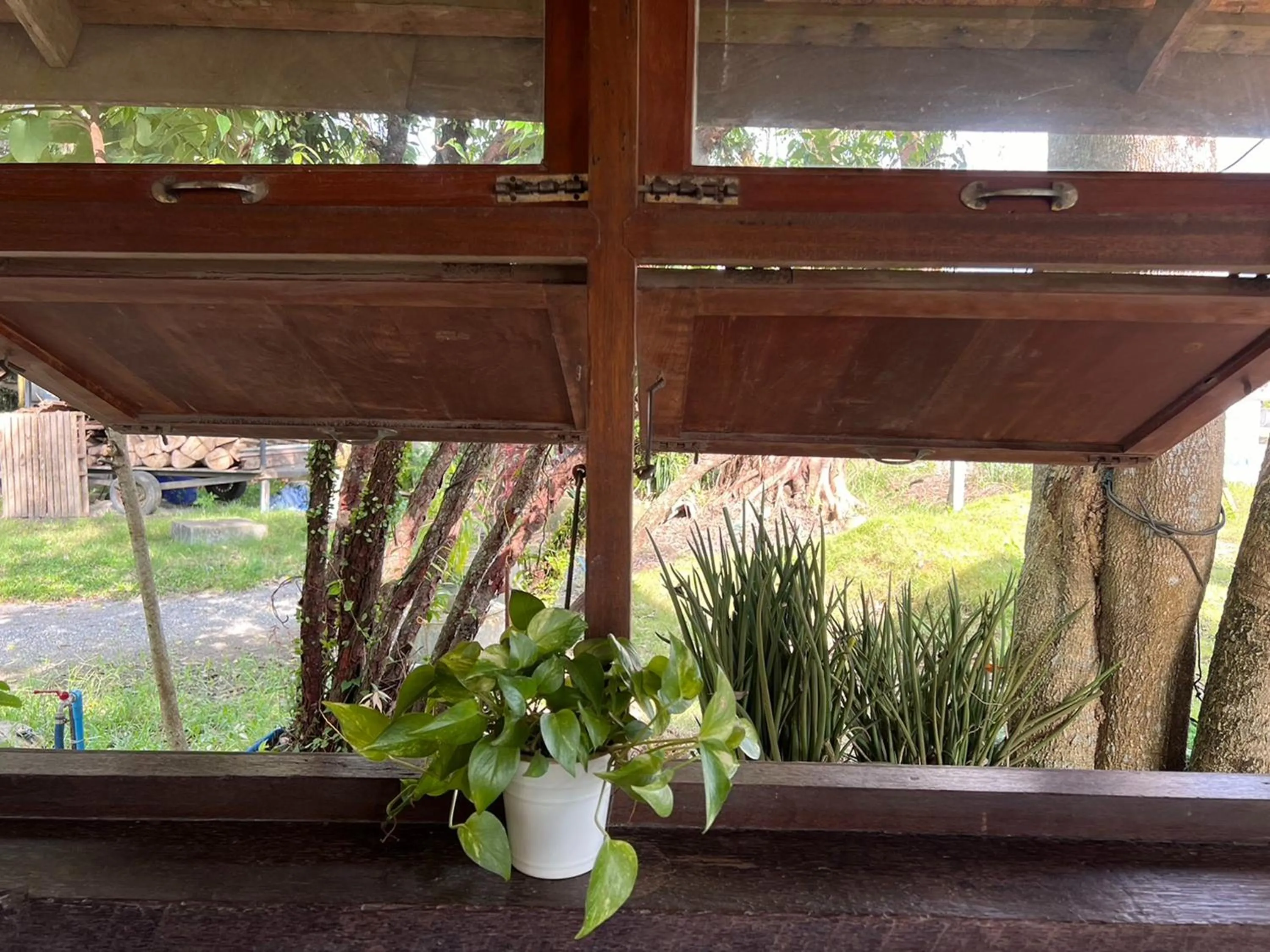 Garden in Pang Mai Resort