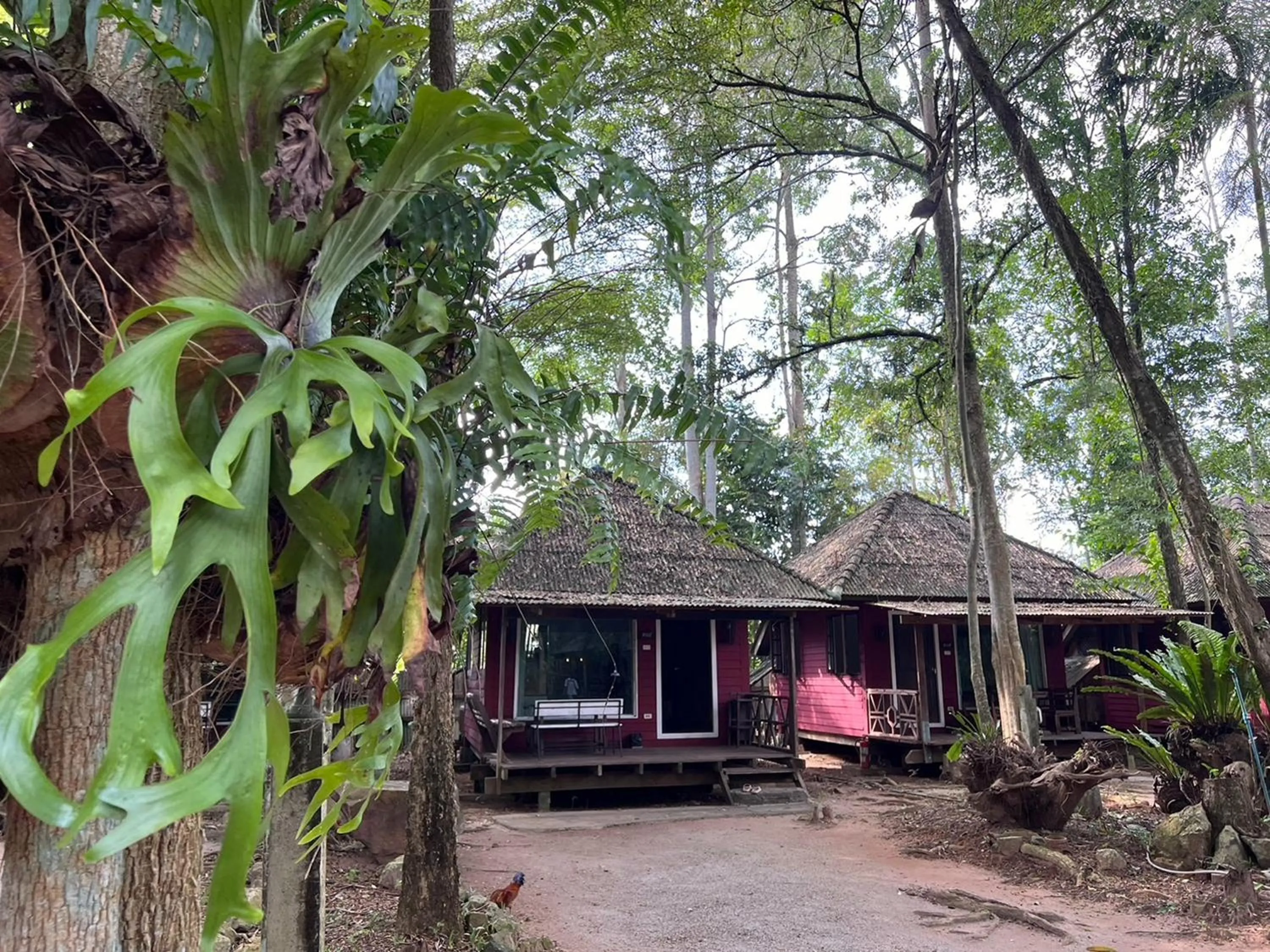 Property building in Pang Mai Resort