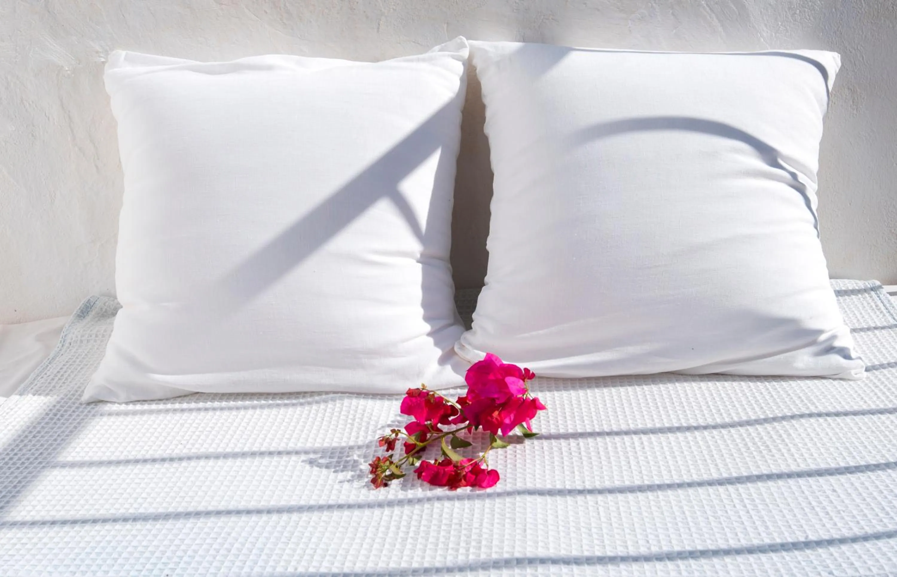 Garden, Bed in Agroturismo Can Cosmi Prats