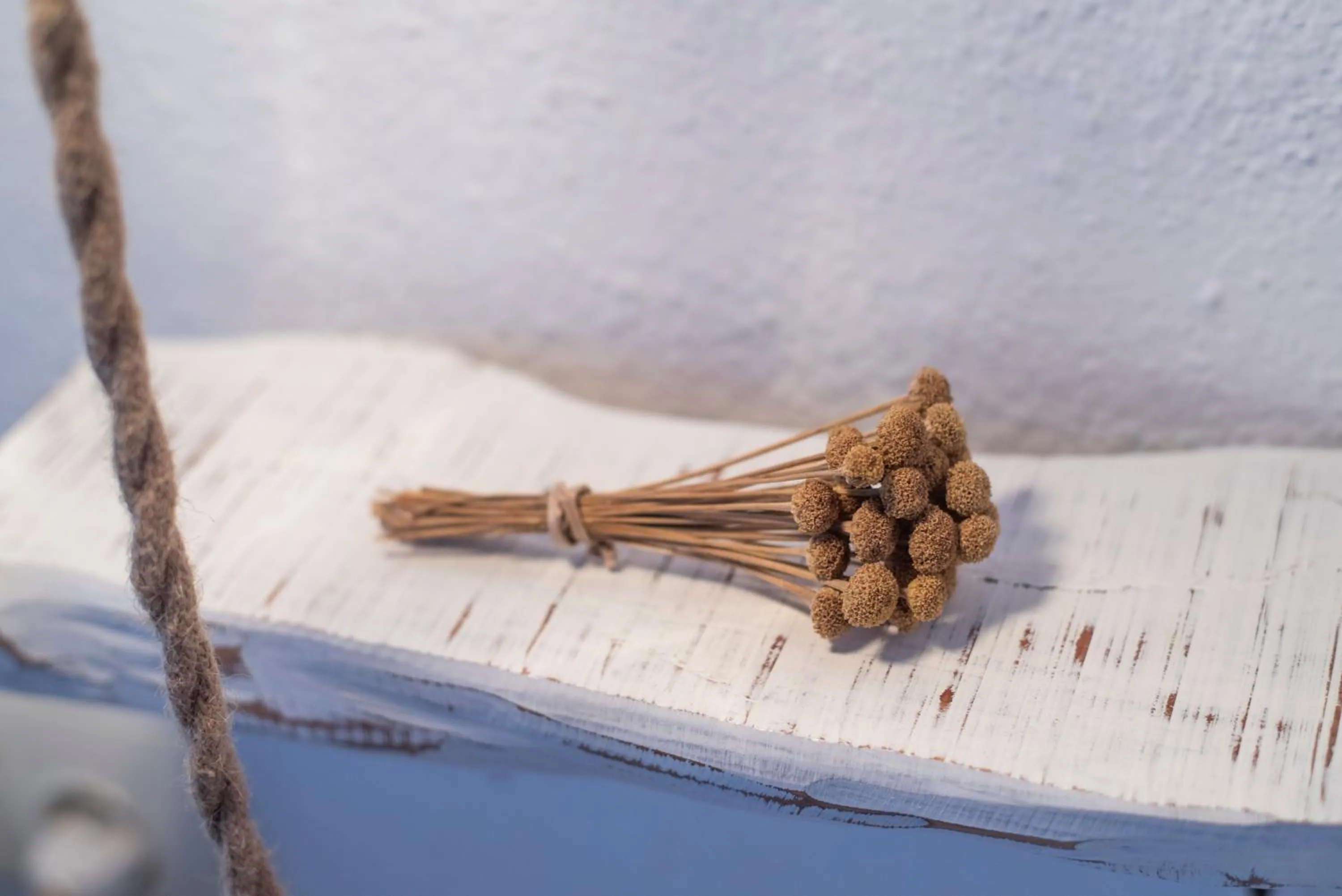 Property building in Agroturismo Can Cosmi Prats