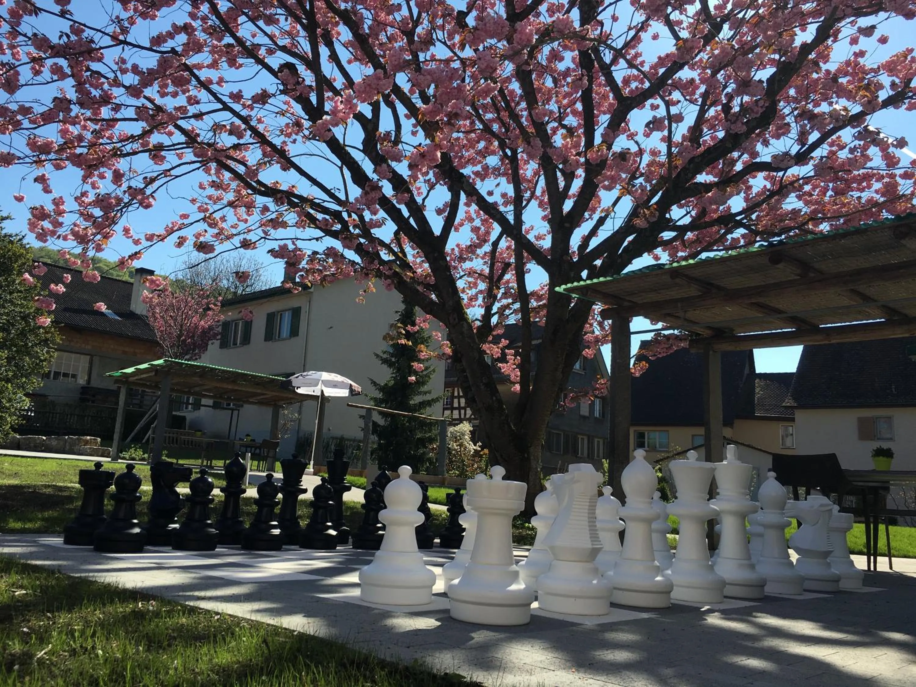 Sports in Ferienhotel Bodensee