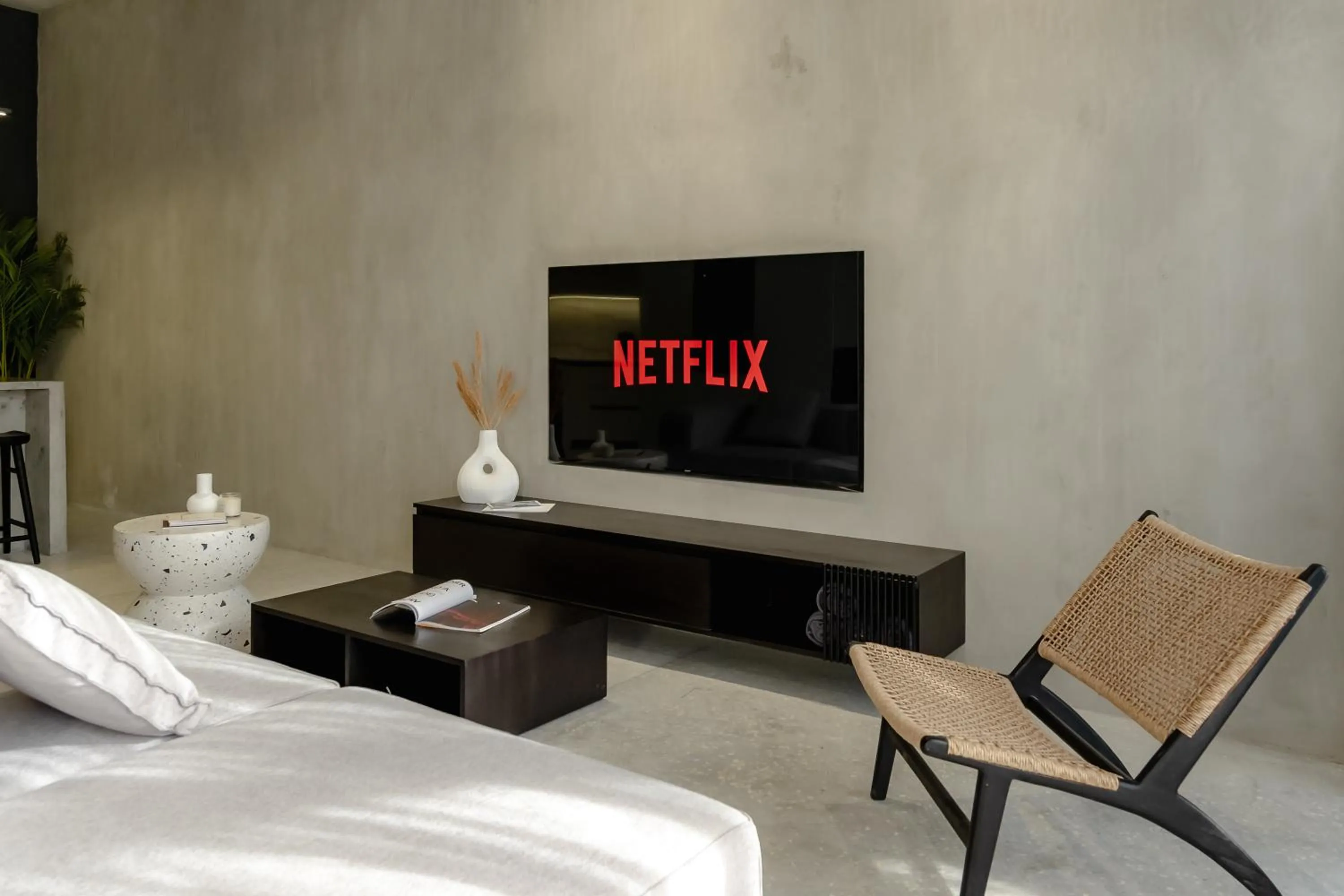 TV and multimedia, Bed in Predmet Babakan Canggu Bali