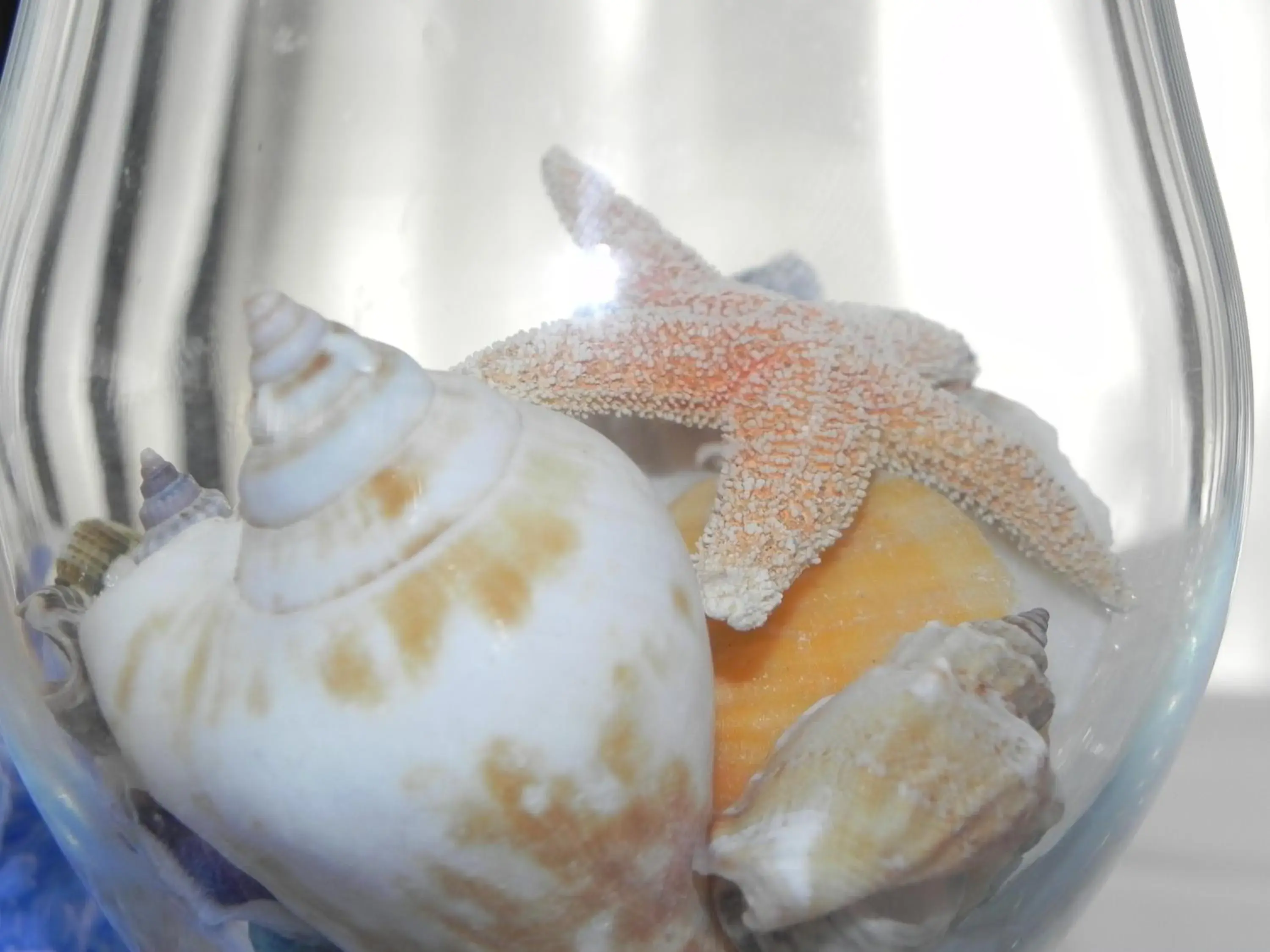 Hotel Arizona Hotel Arizona