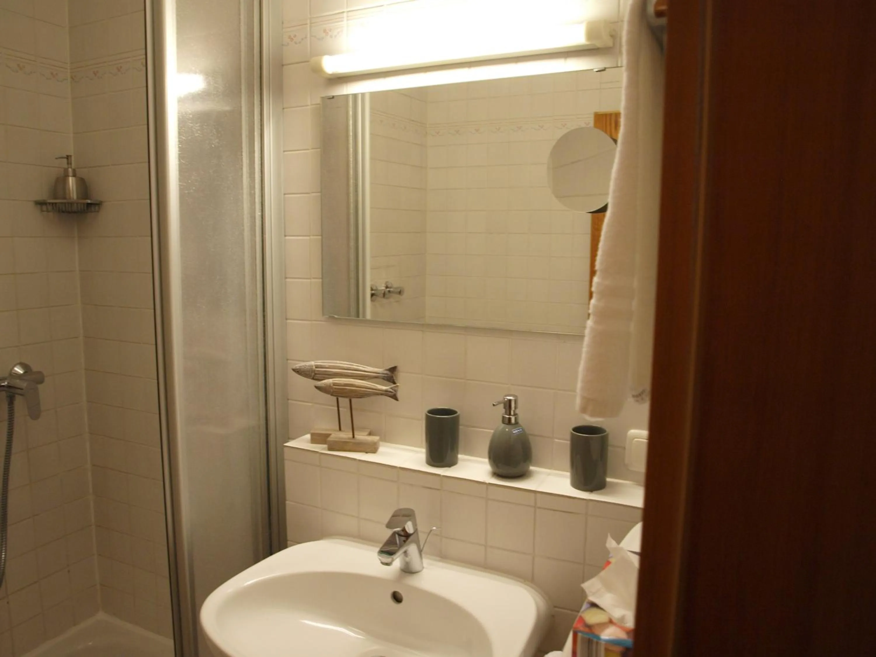 Shower in Gästehaus Engelgasse Herzogenaurach