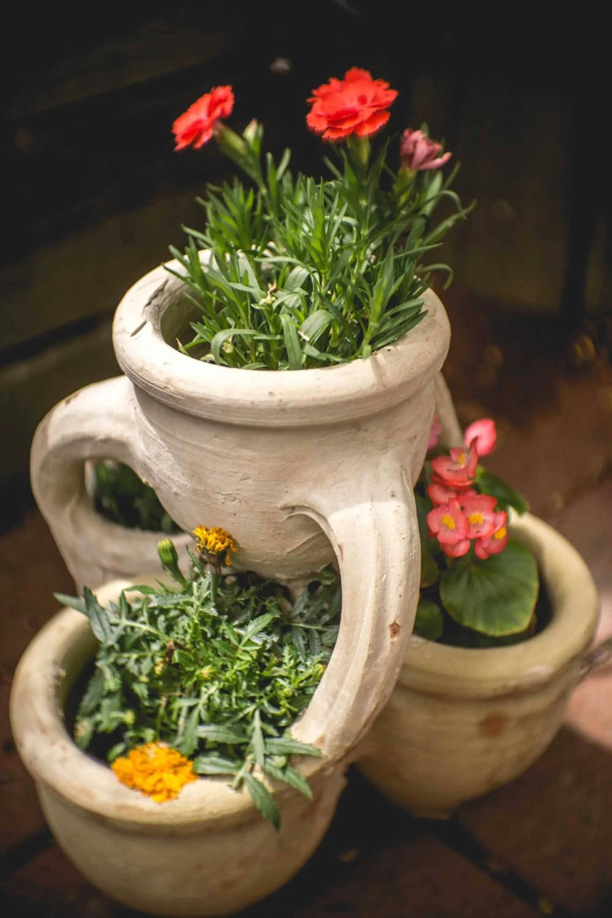 Garden in Gästehaus Engelgasse Herzogenaurach