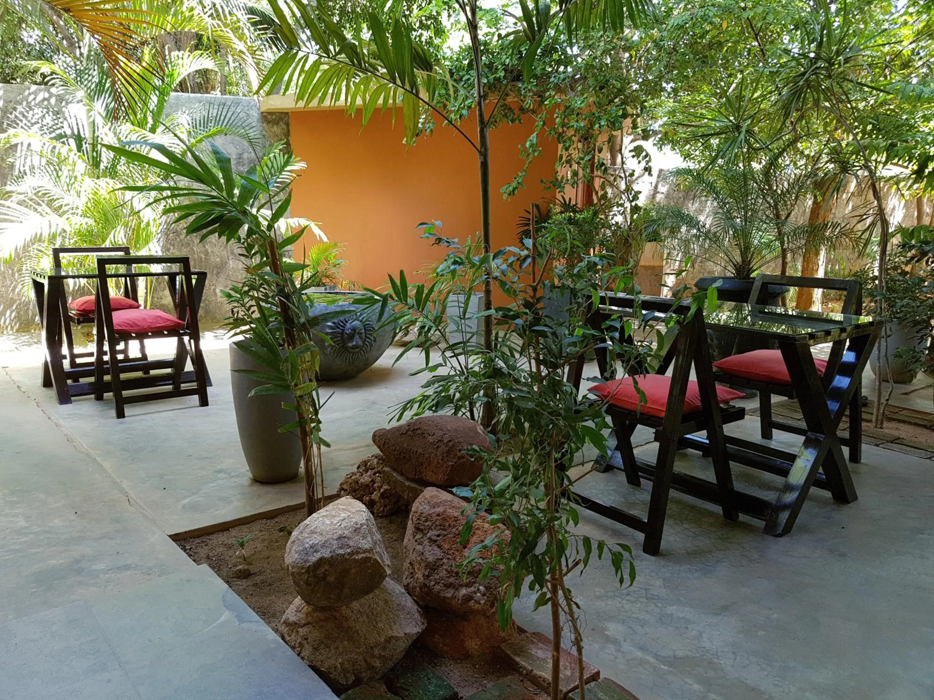 Garden in My Village