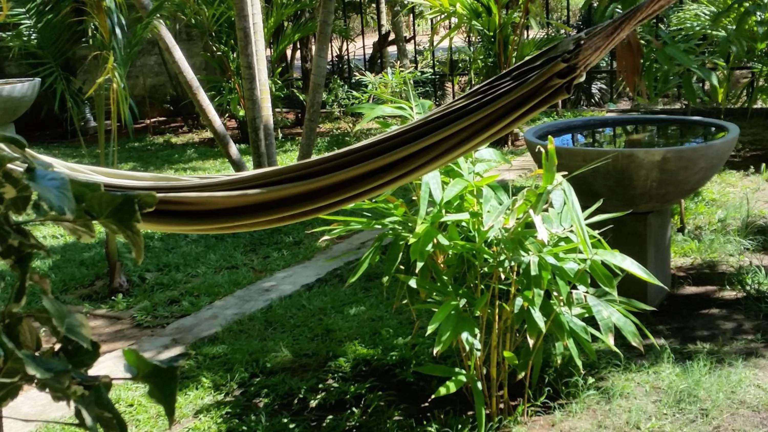 Garden in My Village