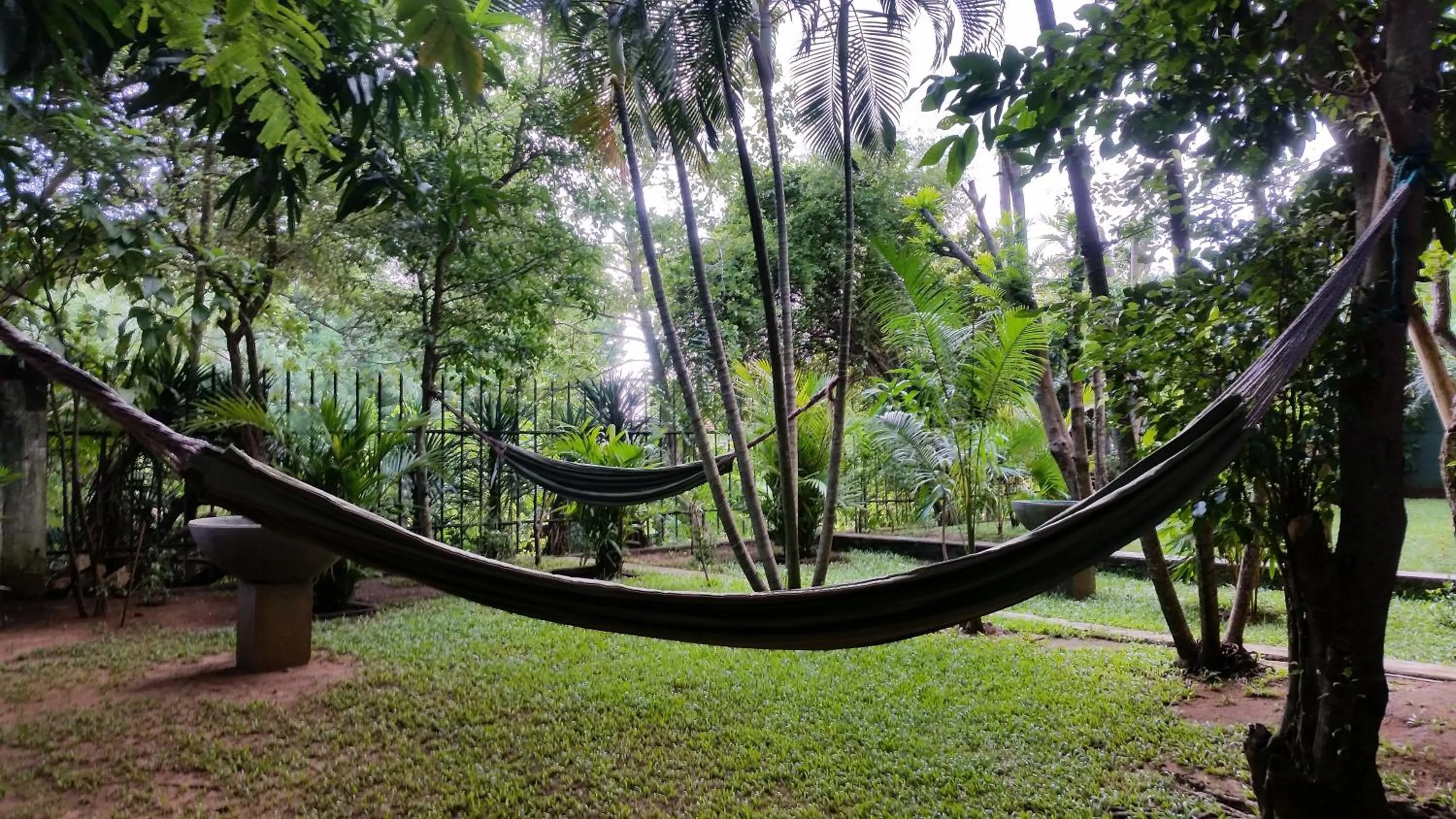 Garden in My Village