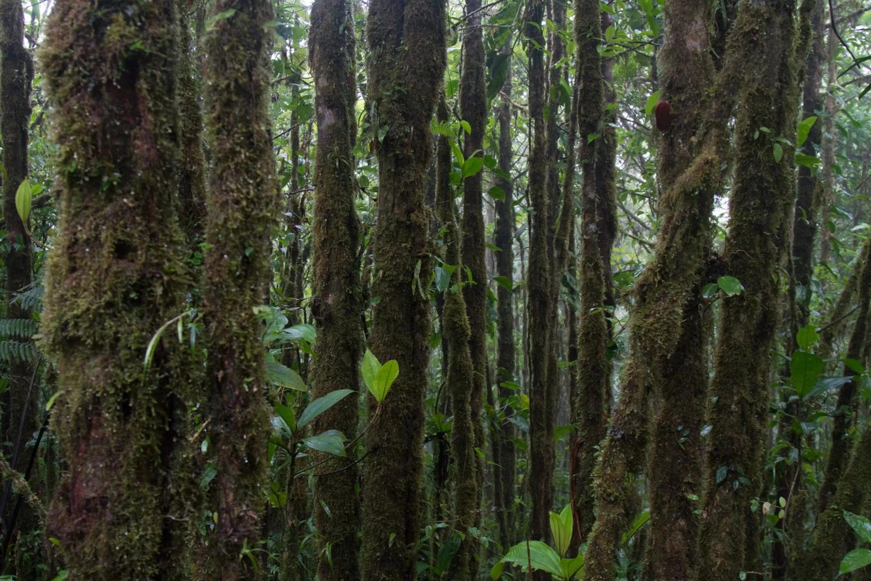 Other in Hotel Belmar