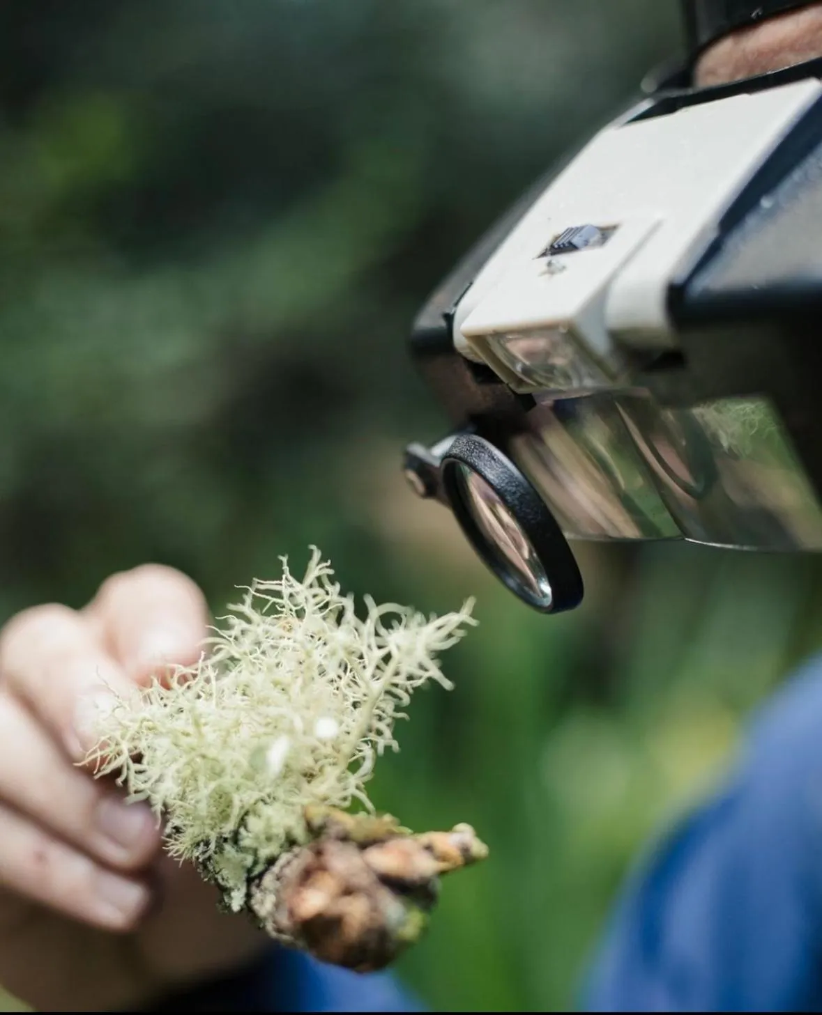 Activities in Hotel Belmar