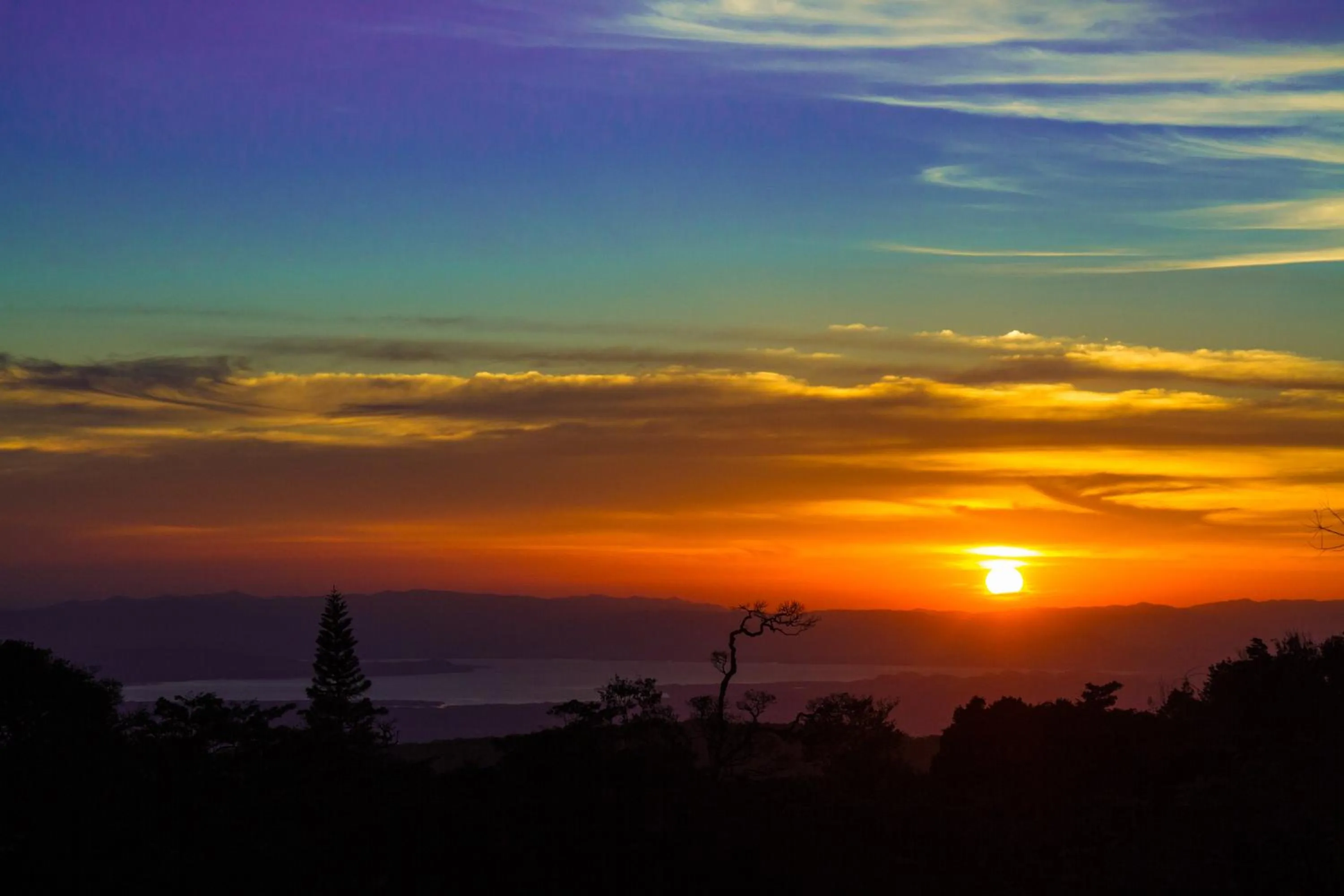 View (from property/room) in Hotel Belmar