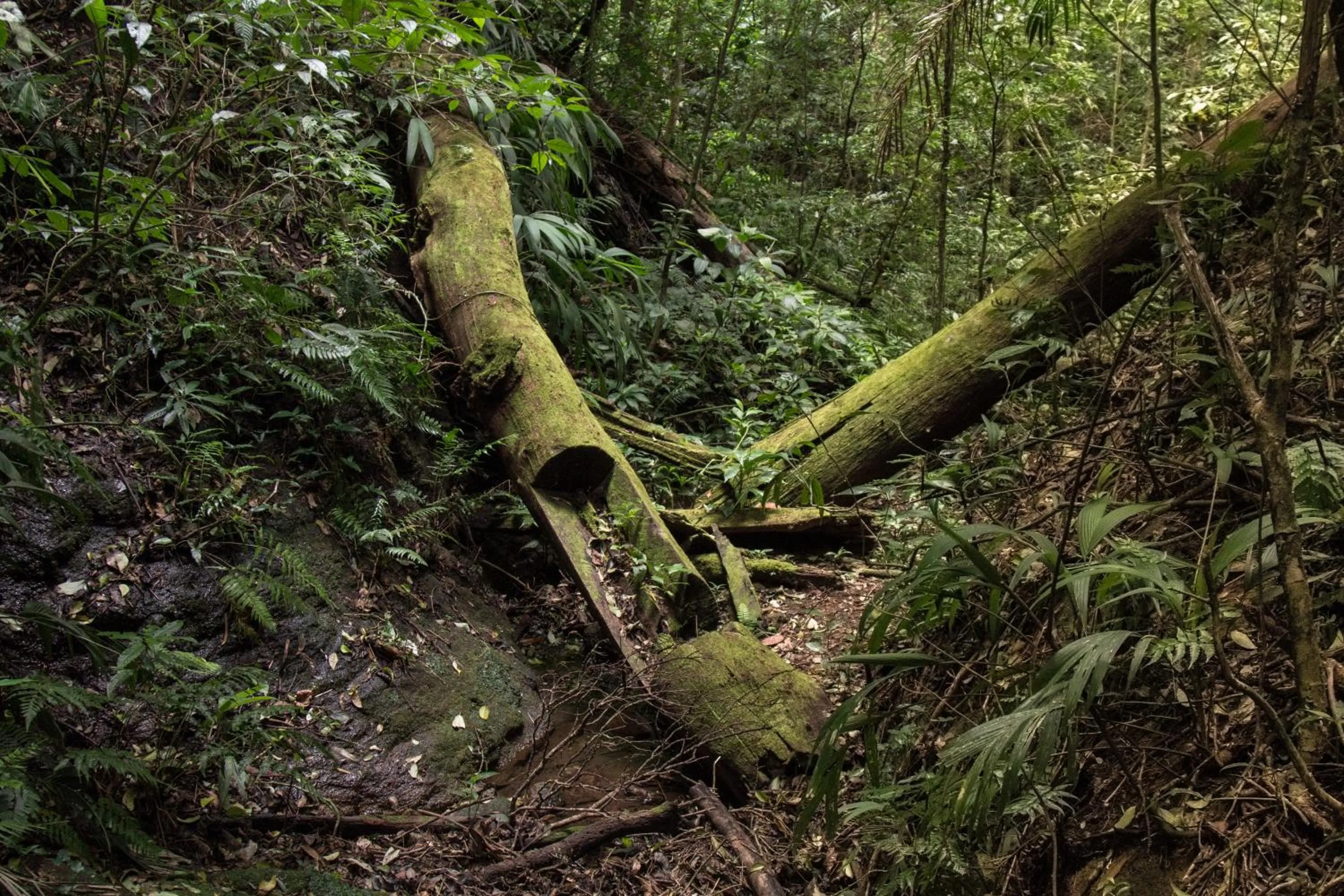 View (from property/room) in Hotel Belmar
