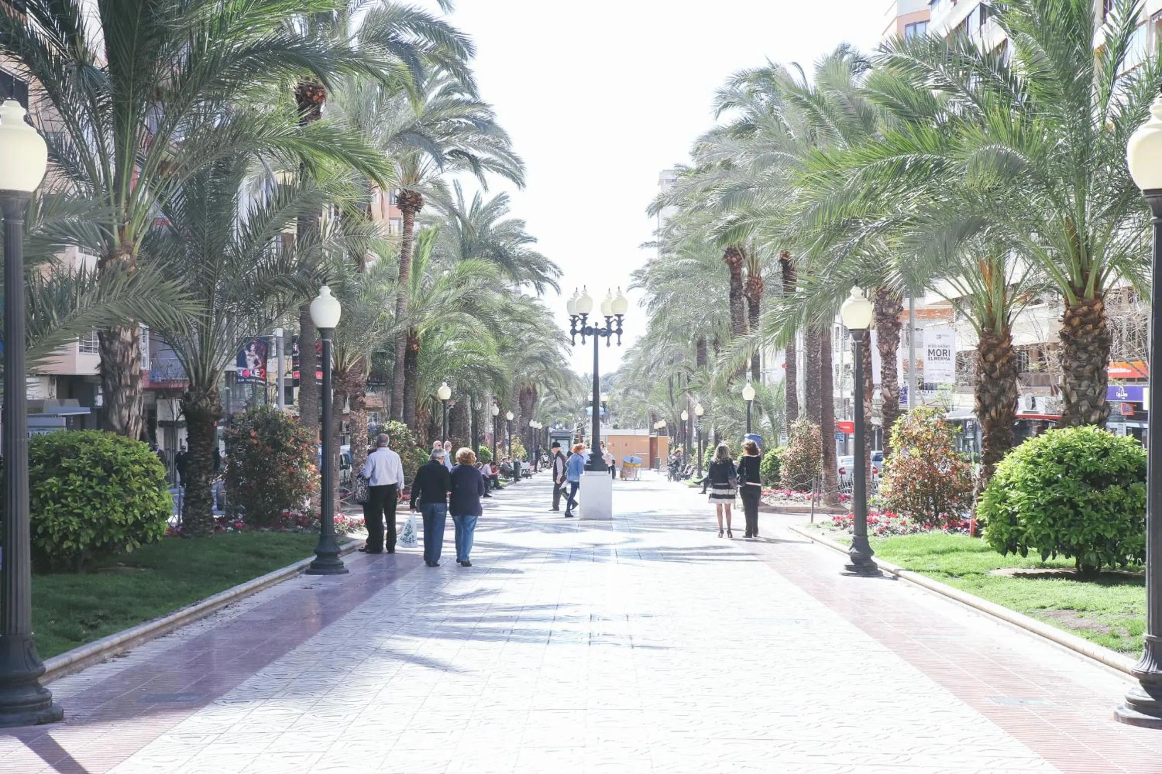 Other in The Lucky Flats - Poeta Quintana