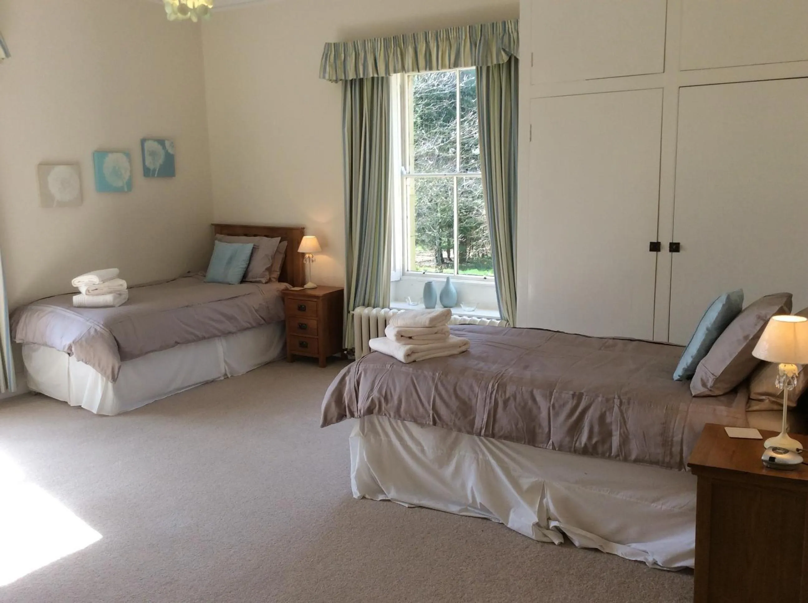 Bed in Rock Moor House B&B