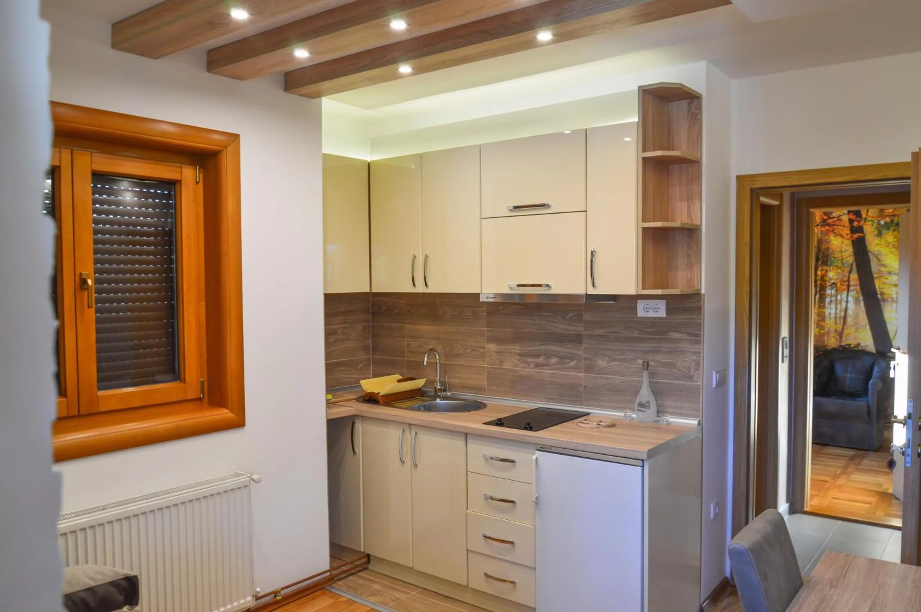 Kitchen or kitchenette in Apartments Josipovic