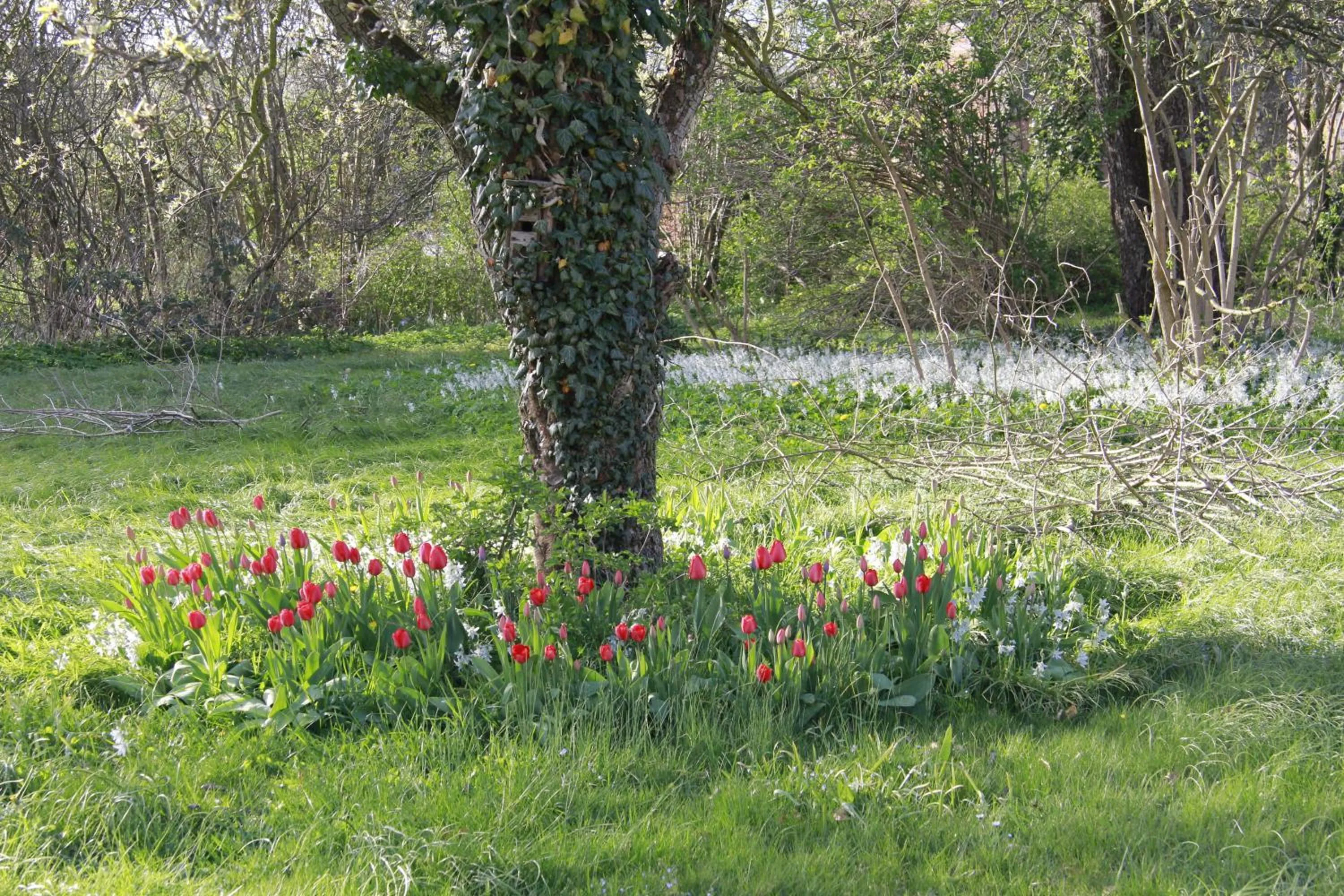 Natural landscape in Vemmetofte Præstegård