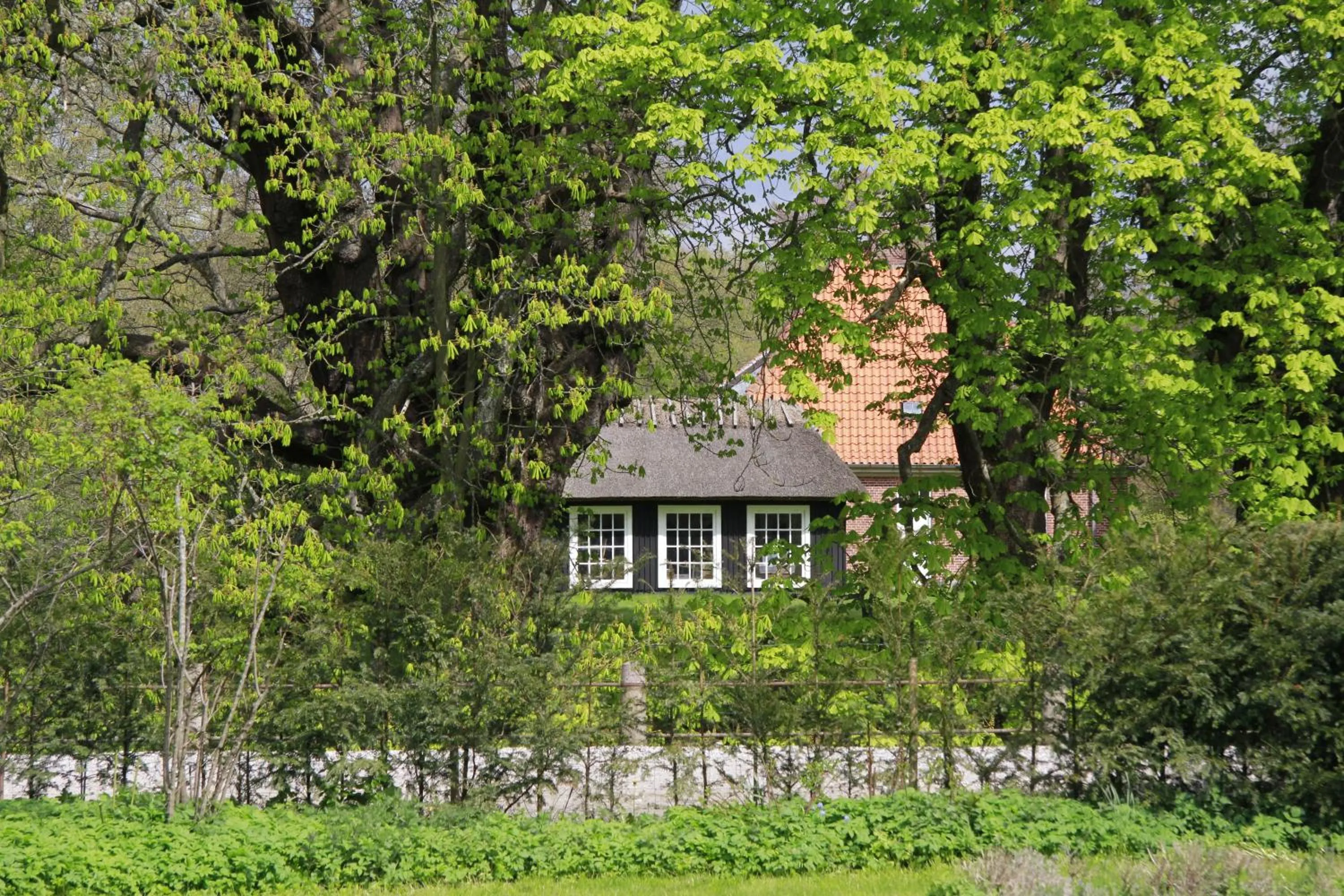View (from property/room) in Vemmetofte Præstegård