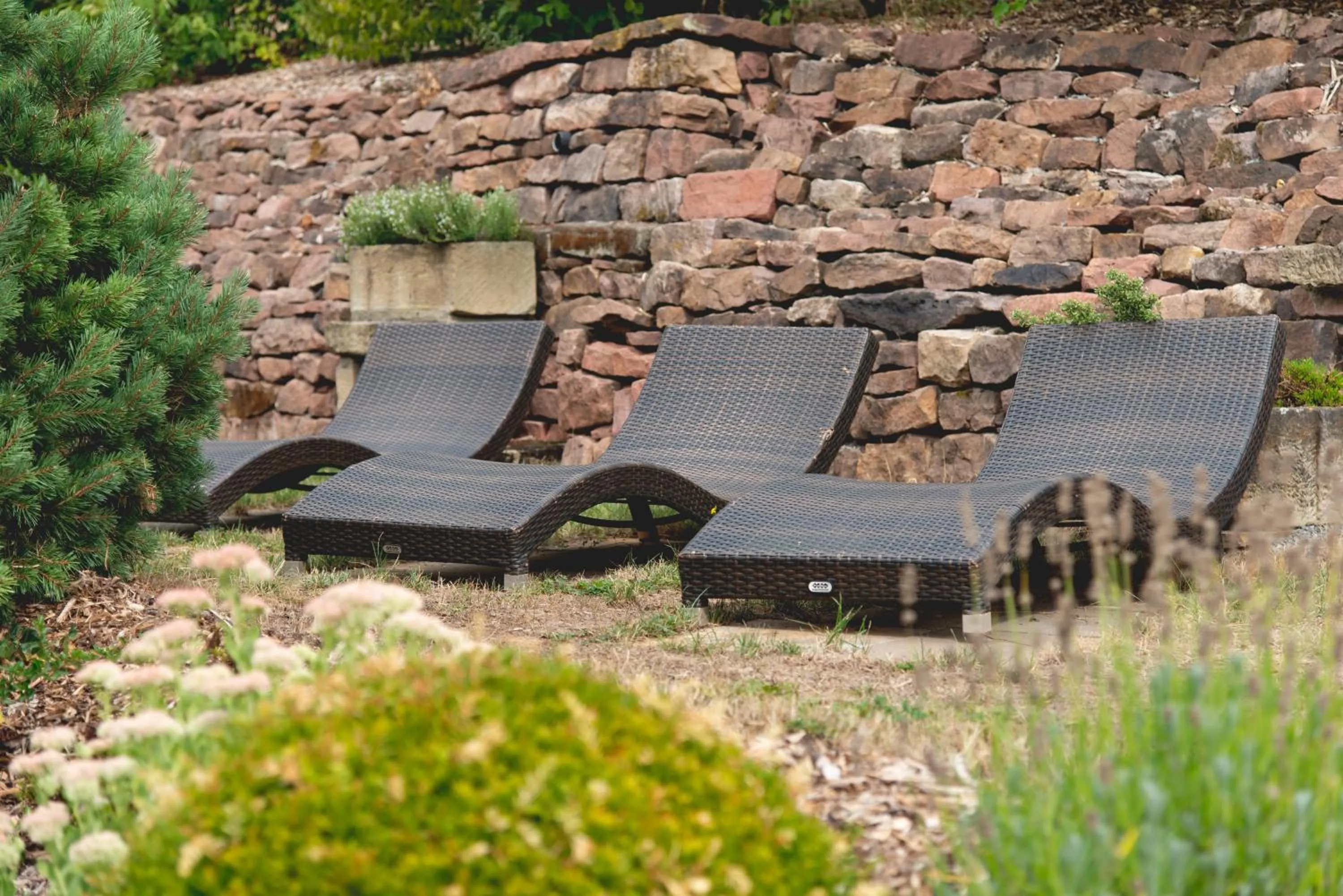 Garden in Hotel Restaurant Martha