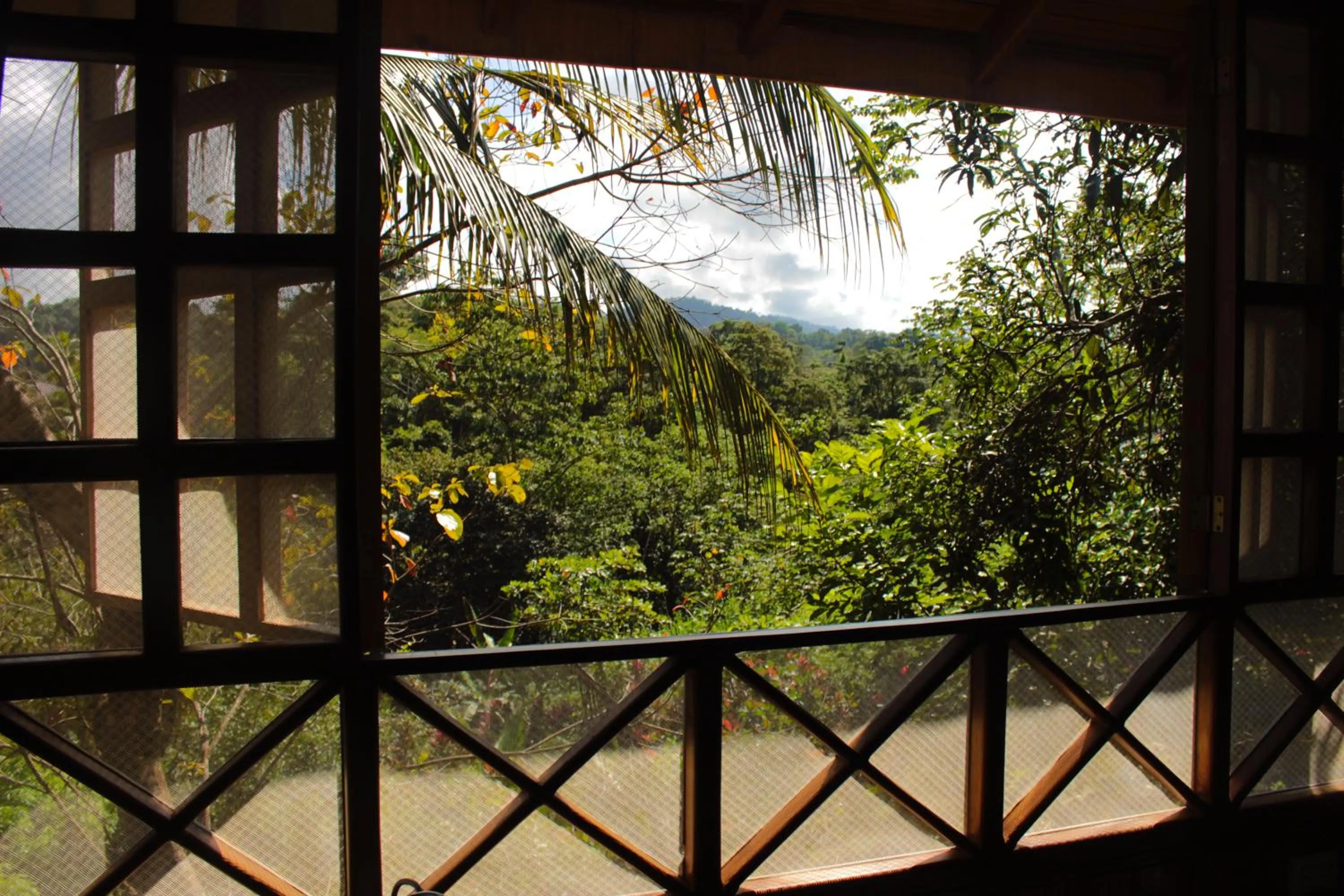 Garden view in Casa Horizontes Corcovado