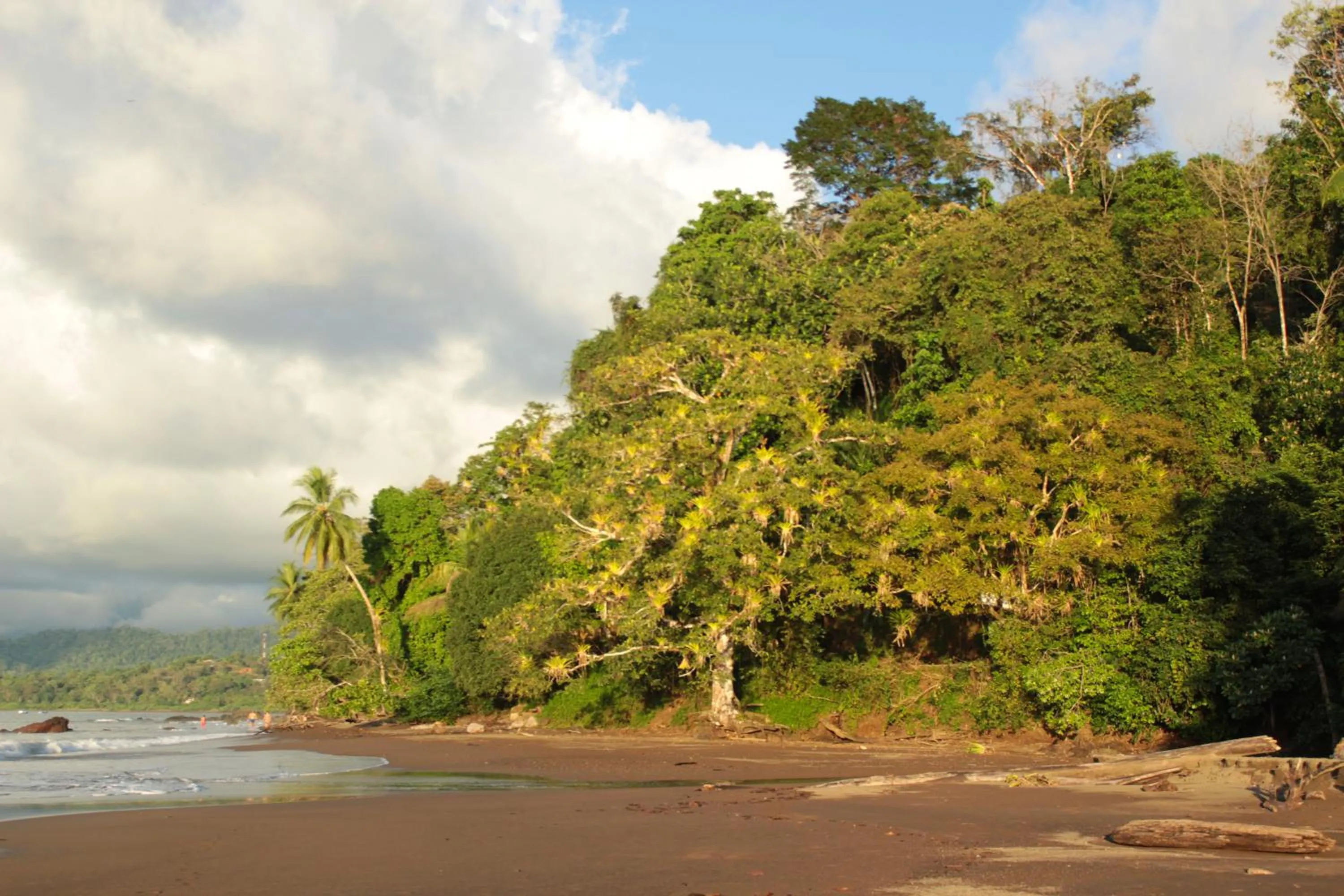 Summer in Casa Horizontes Corcovado