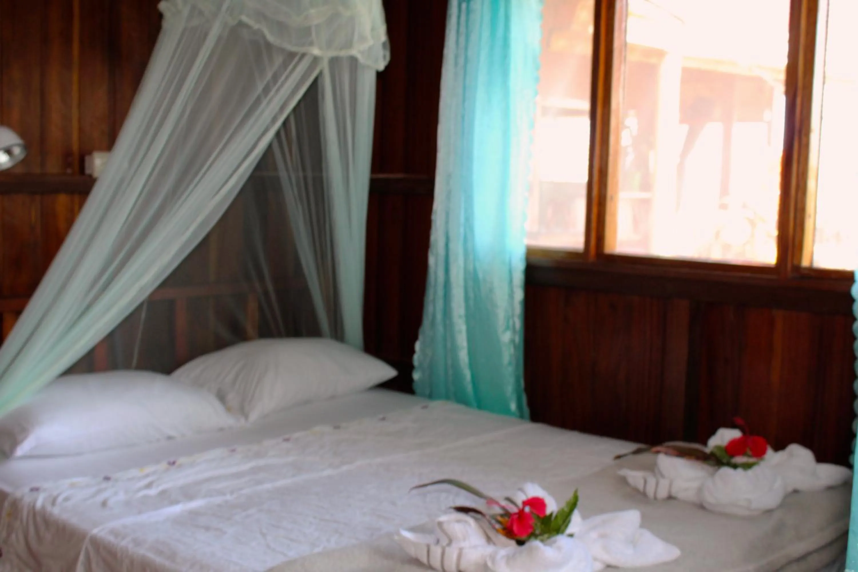 Budget Double Room - single occupancy in Casa Horizontes Corcovado