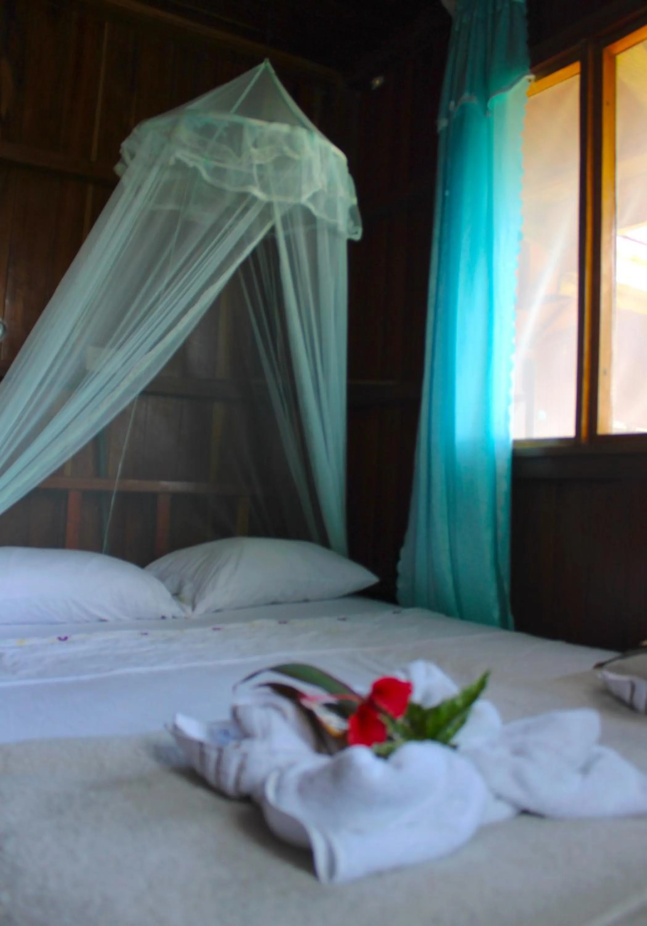 Bed in Casa Horizontes Corcovado