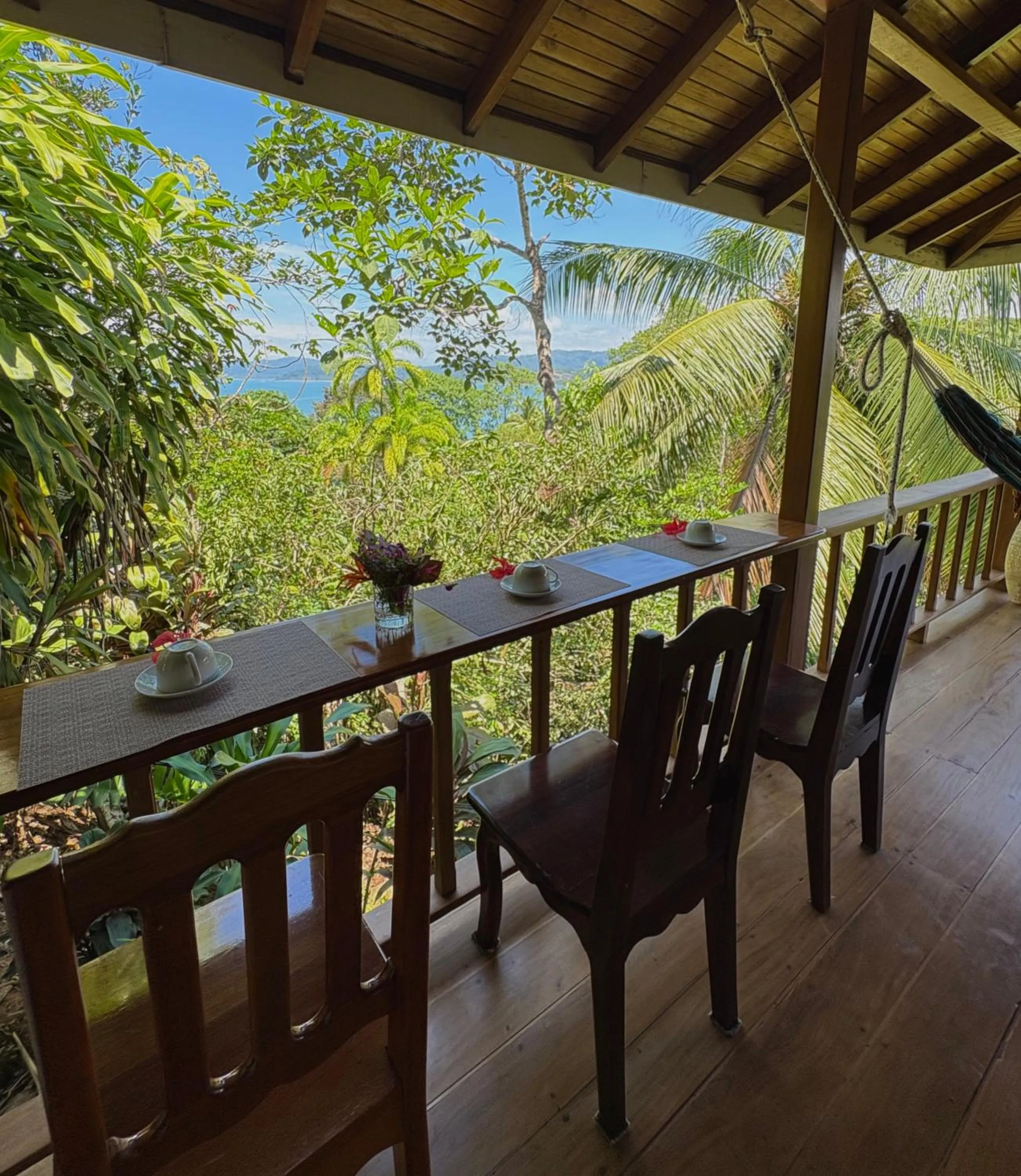Garden in Casa Horizontes Corcovado