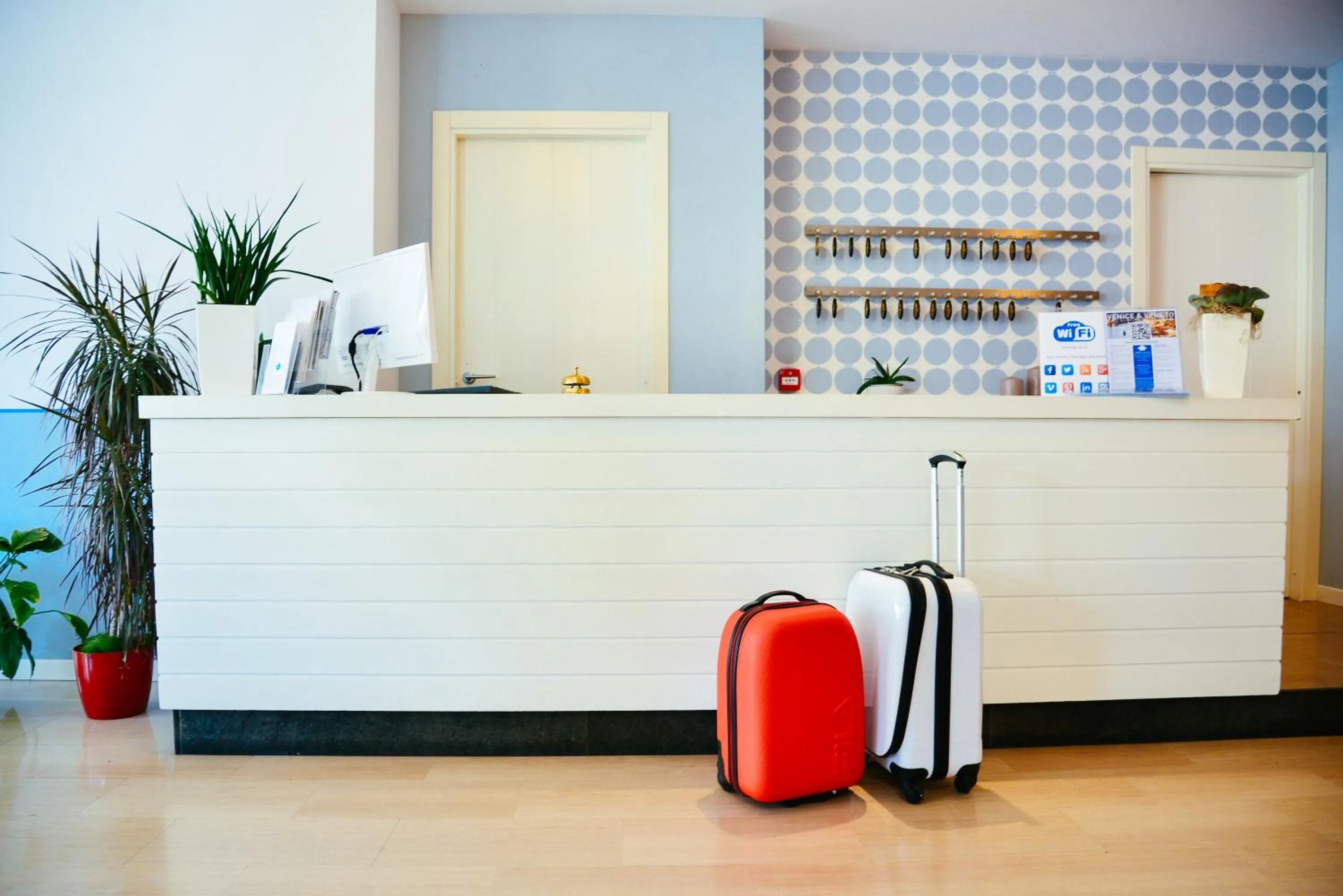 Lobby or reception in Hotel Domingo