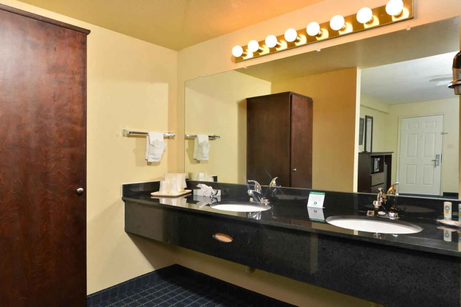 Bathroom in Quality Inn Needles