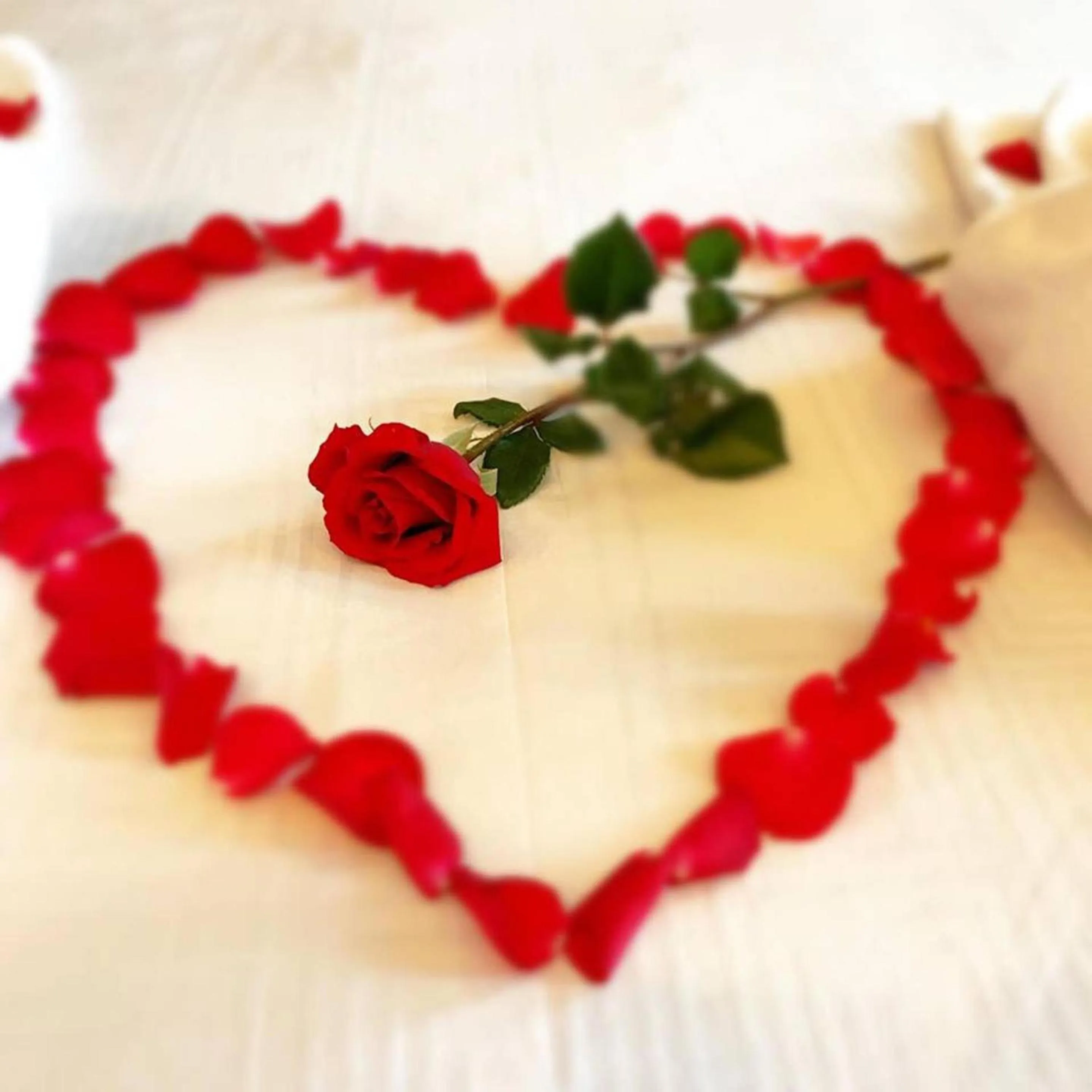 Decorative detail in Co Ba Vung Tau Hotel