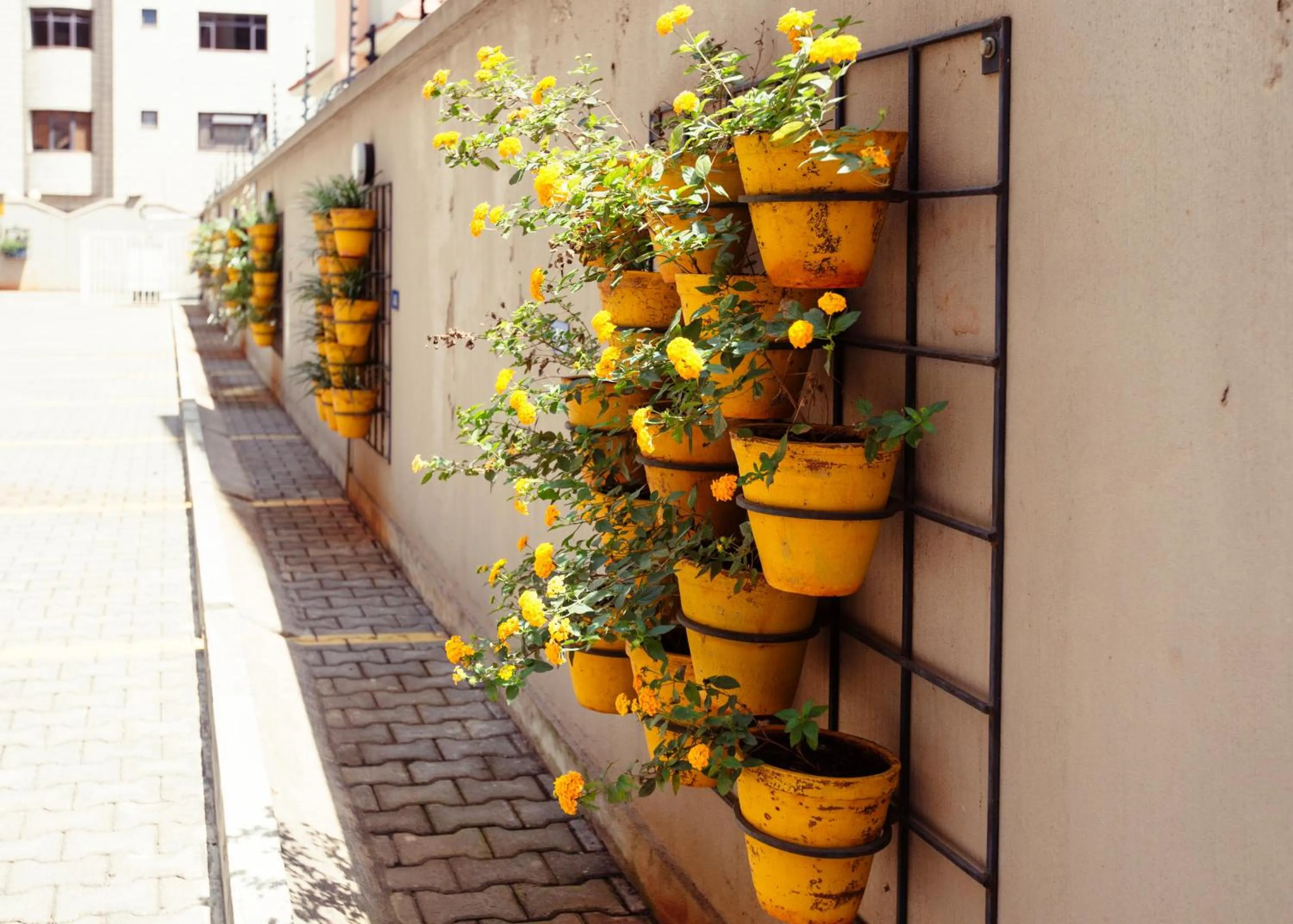 Facade/entrance in Fedha Residences by Trianum