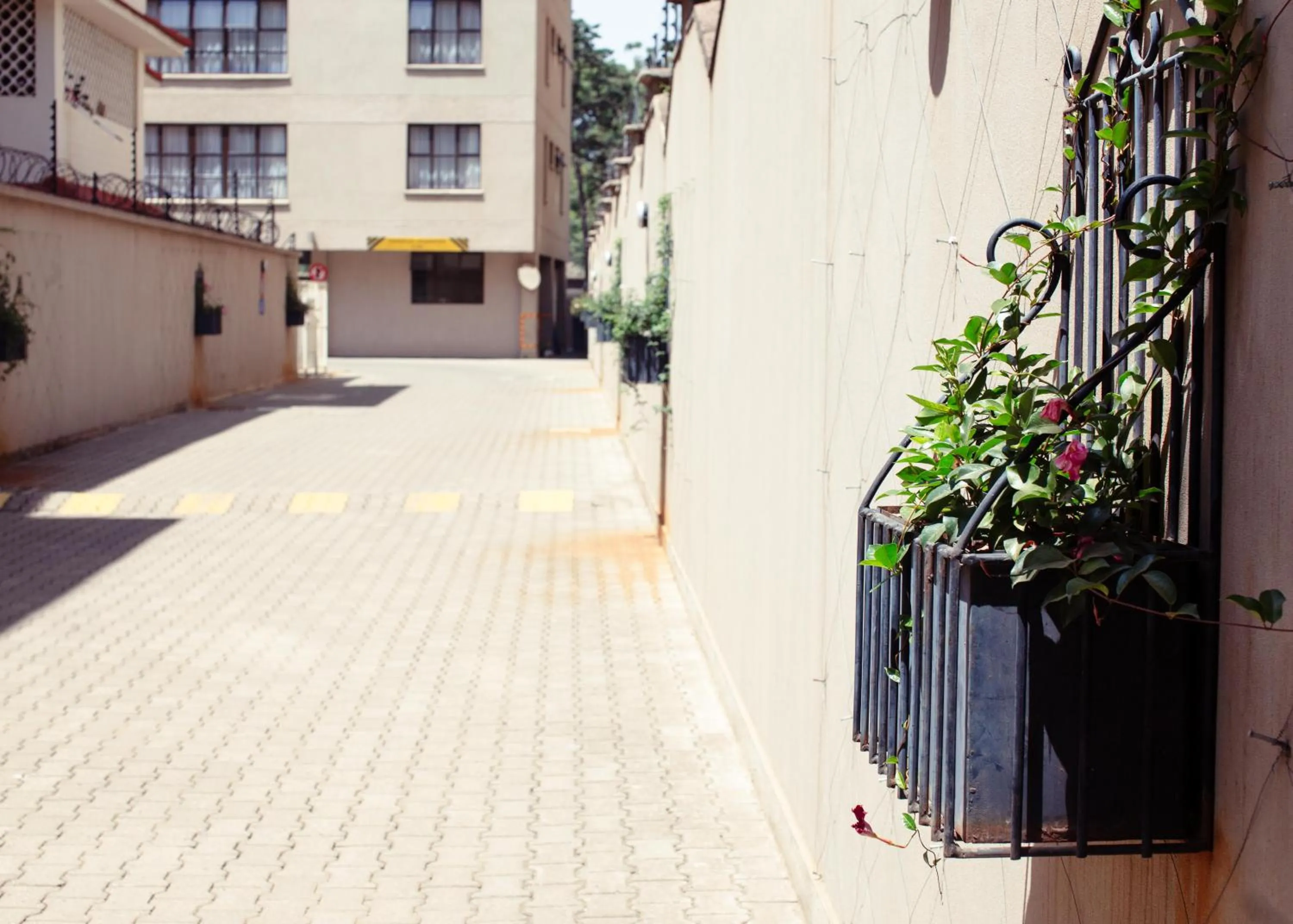 Facade/entrance in Fedha Residences by Trianum