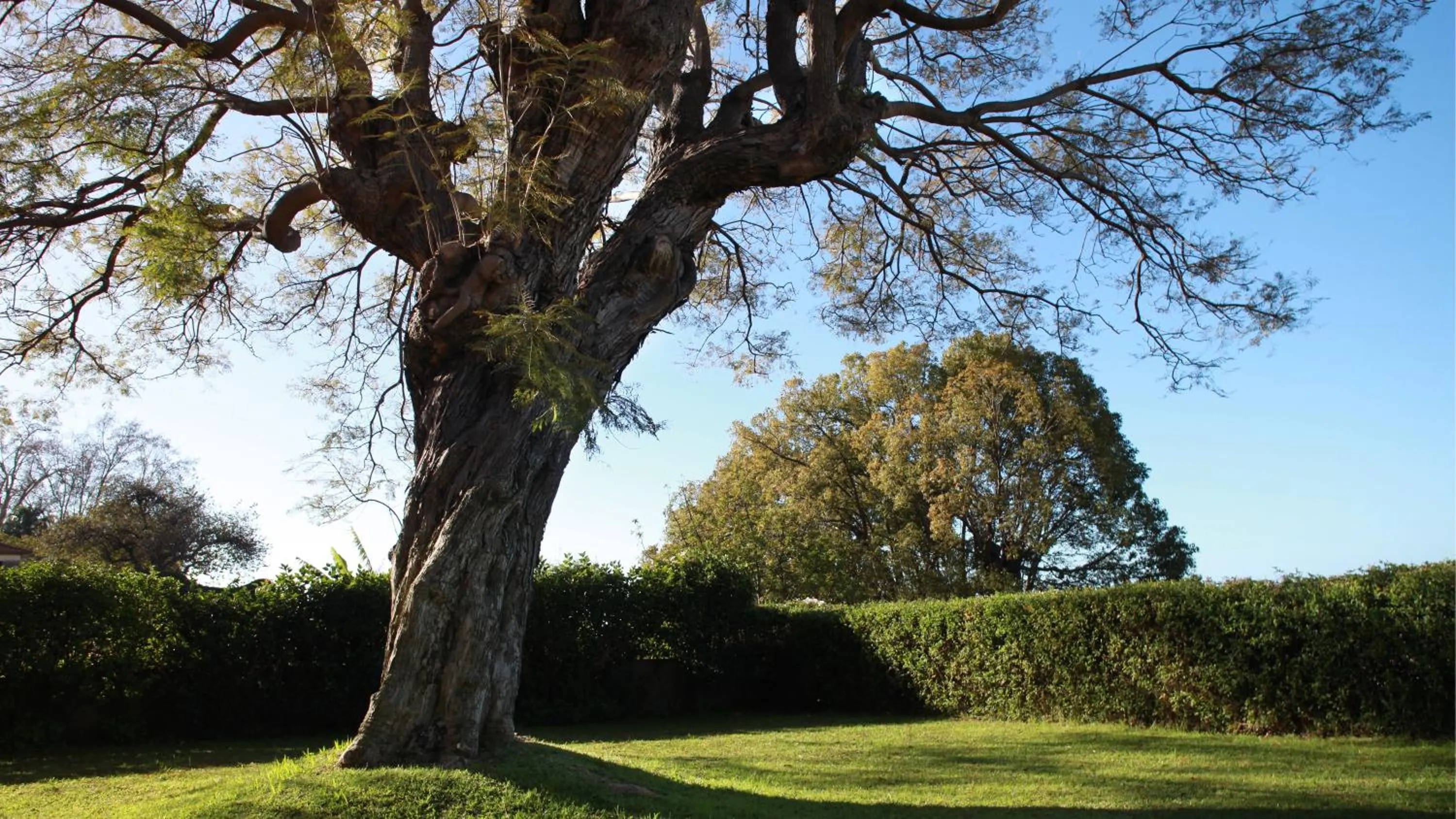 Quinta das Malvas - Quinta de Santa Luzia