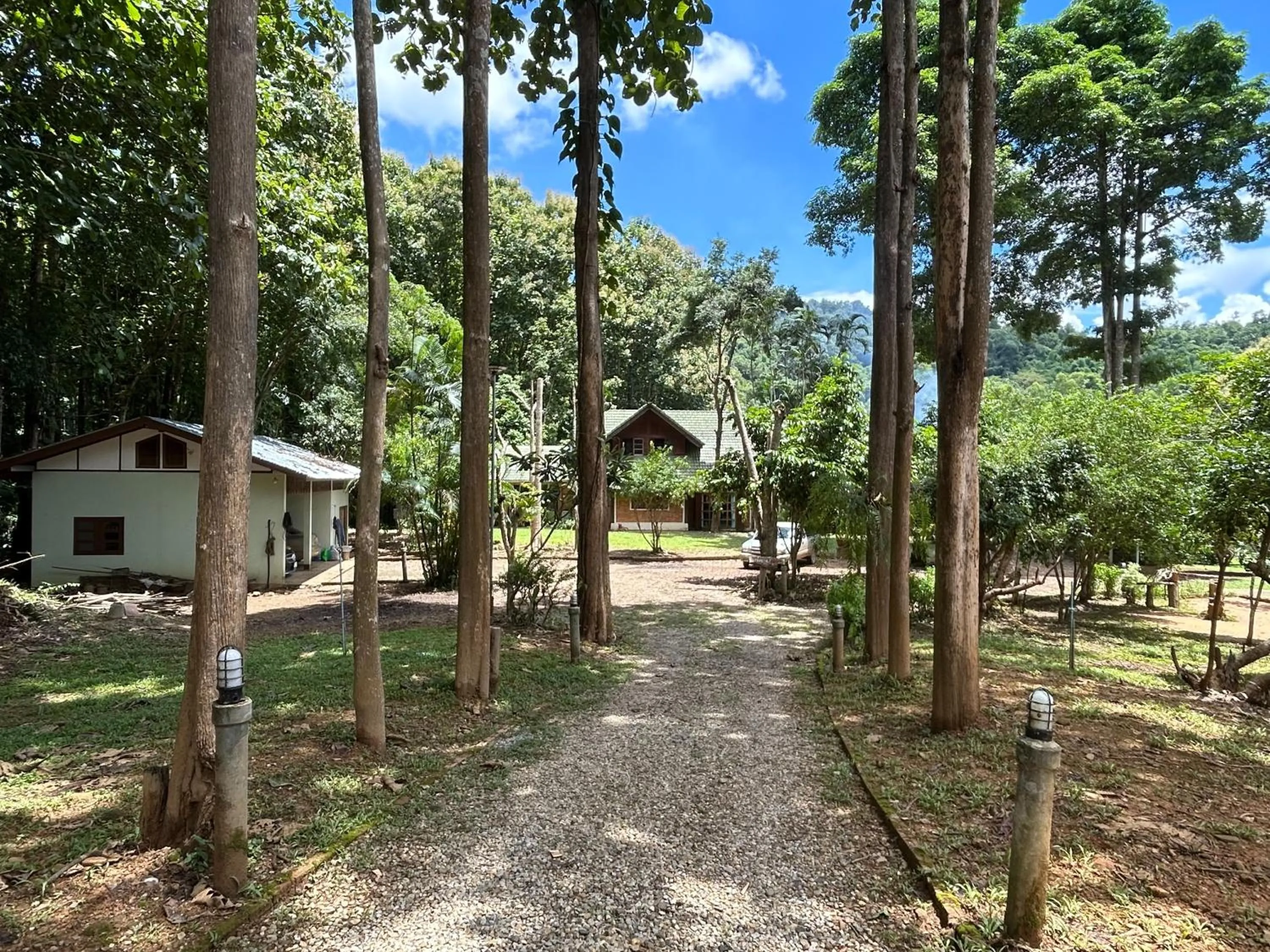 At Home Chiang Dao, Pooch Lovers