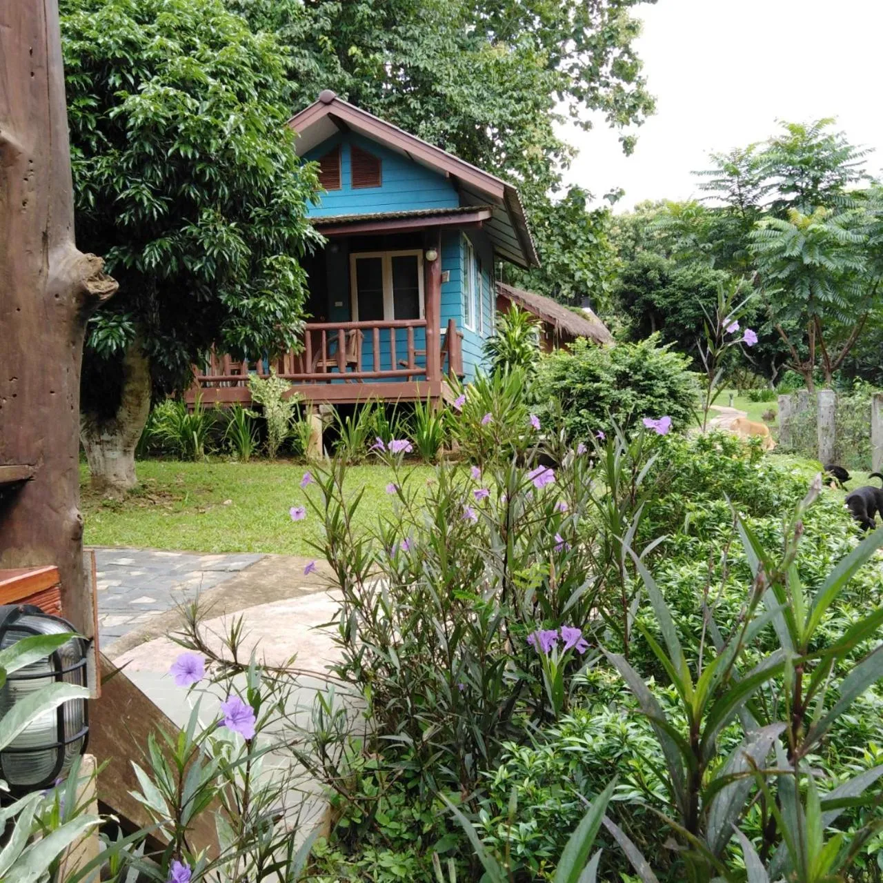 Property building in At Home Chiang Dao, Pooch Lovers