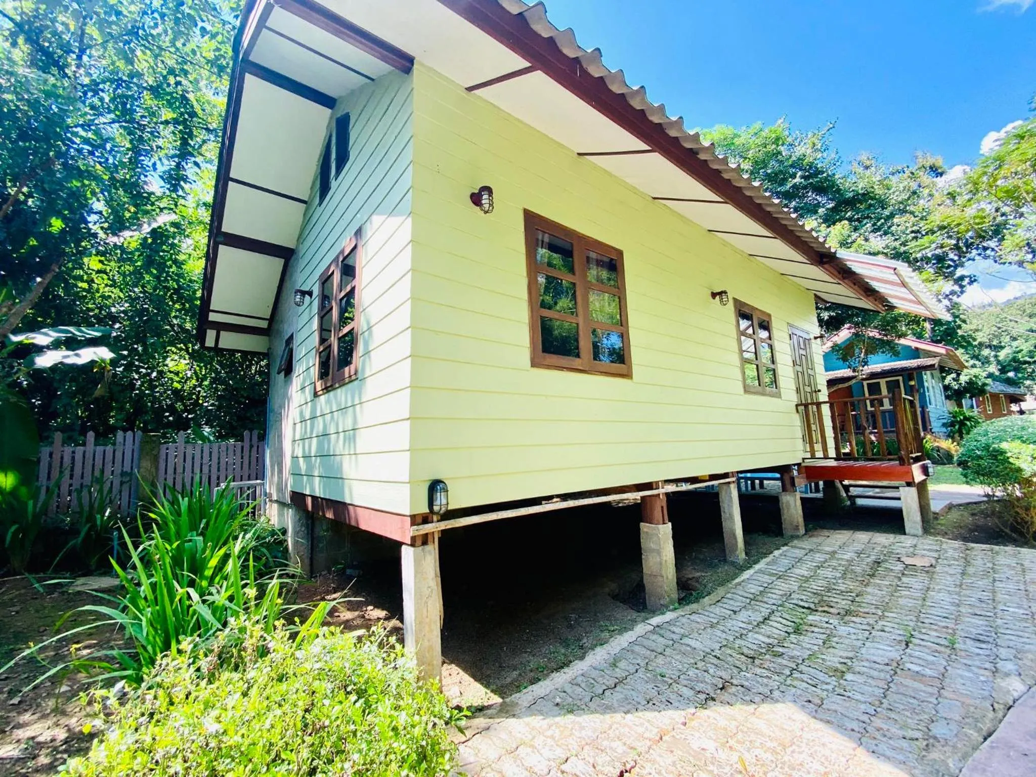 At Home Chiang Dao, Pooch Lovers