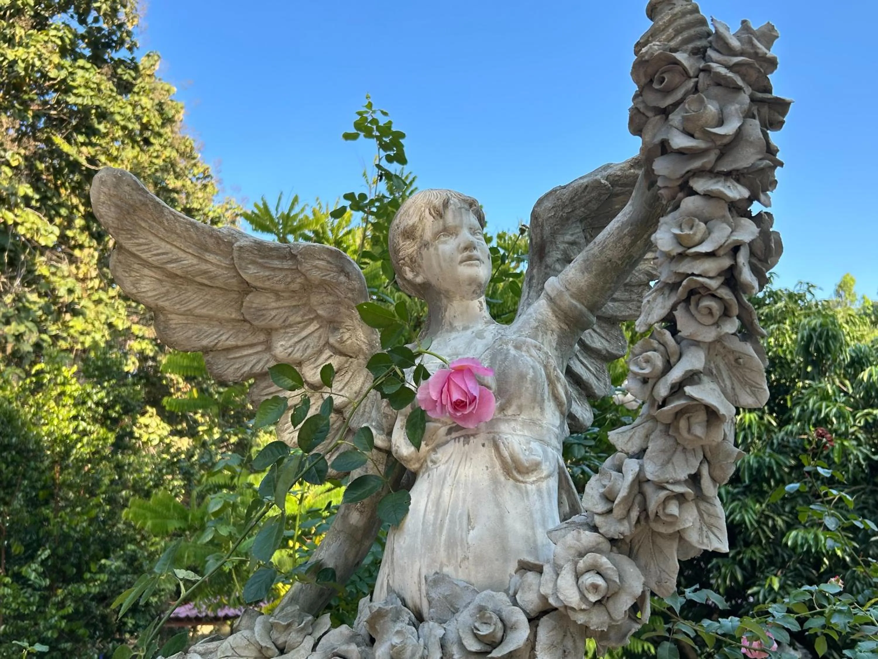 At Home Chiang Dao, Pooch Lovers