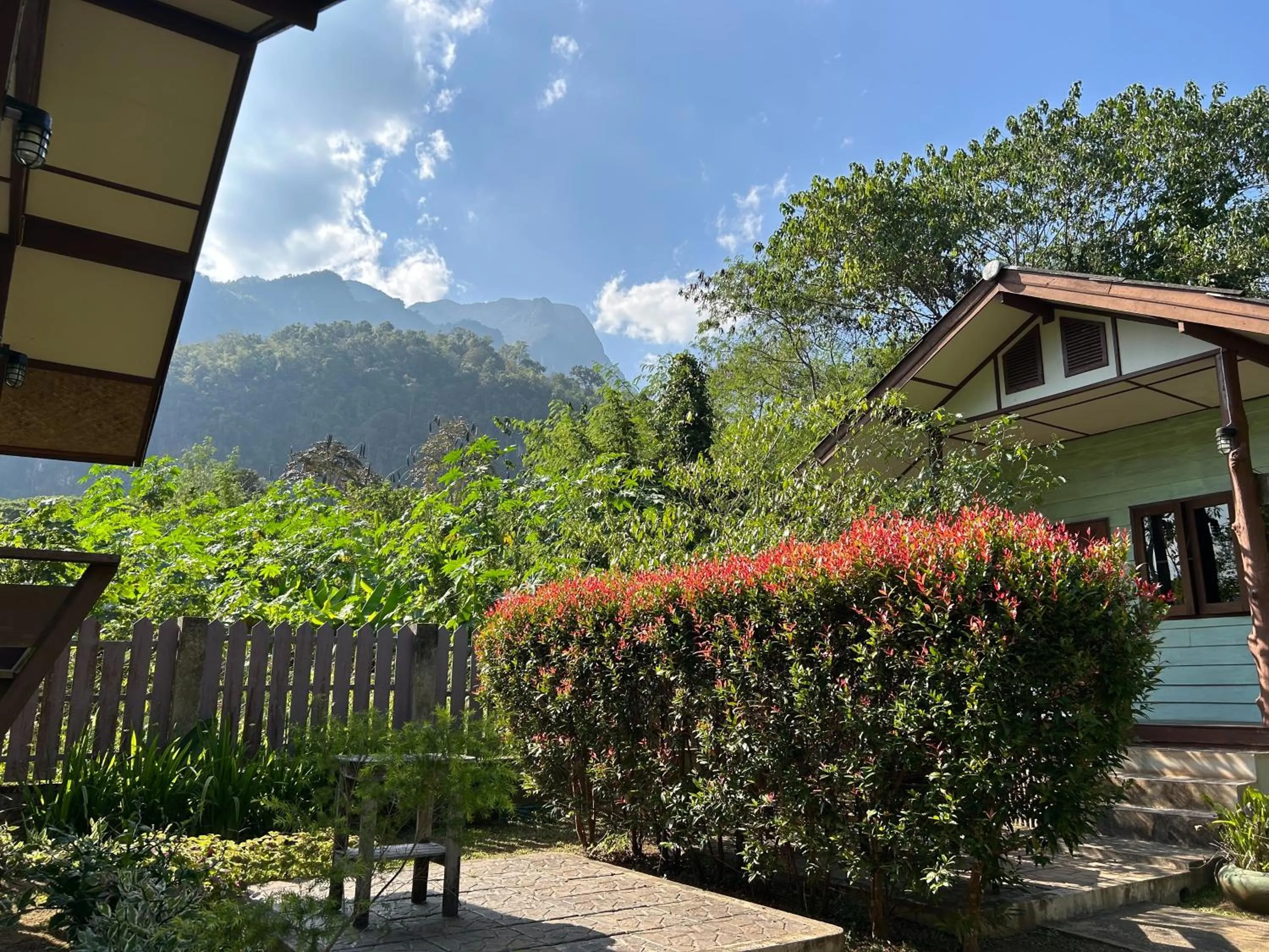 At Home Chiang Dao, Pooch Lovers