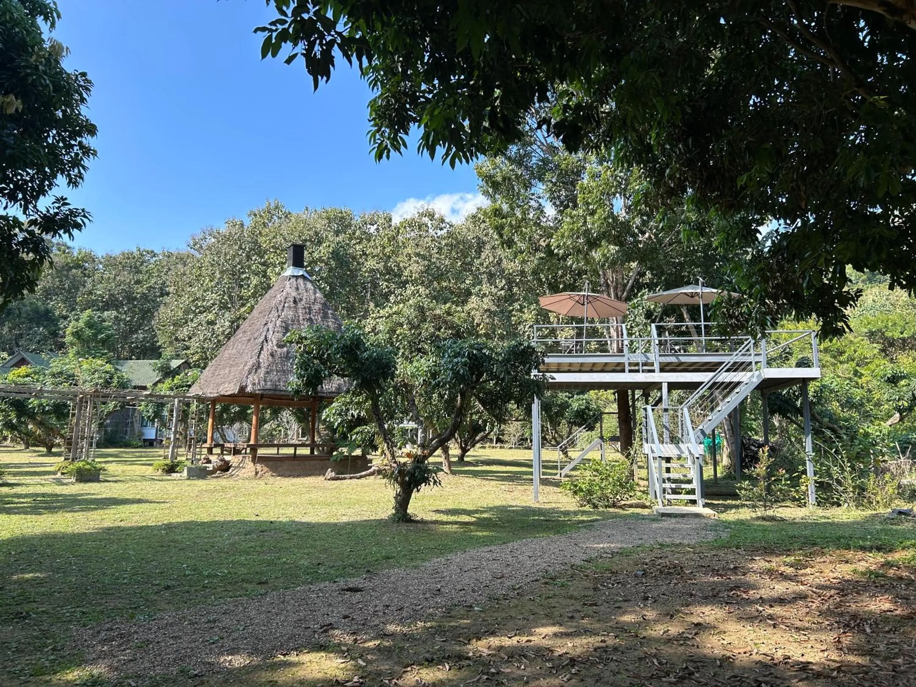 At Home Chiang Dao, Pooch Lovers