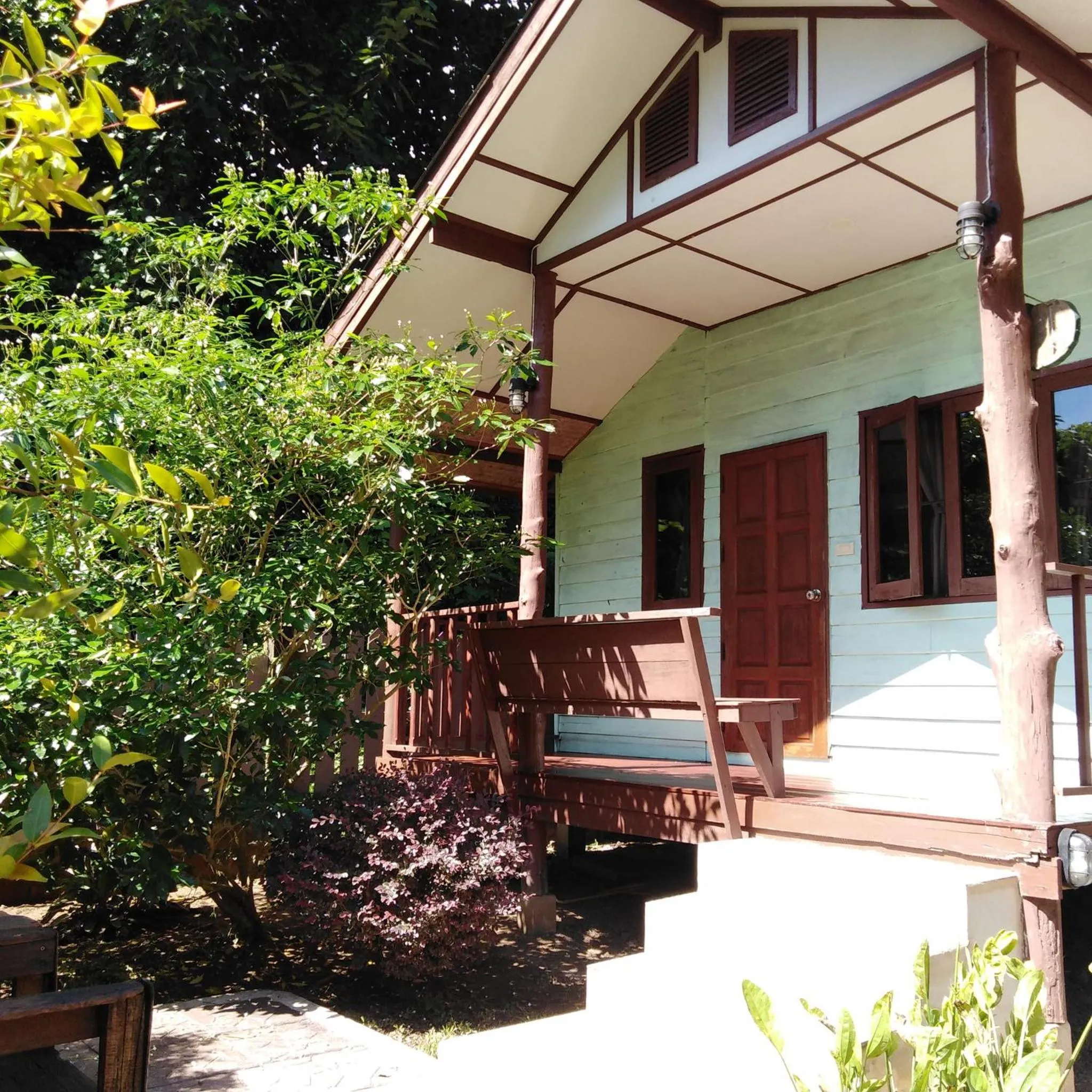 At Home Chiang Dao, Pooch Lovers