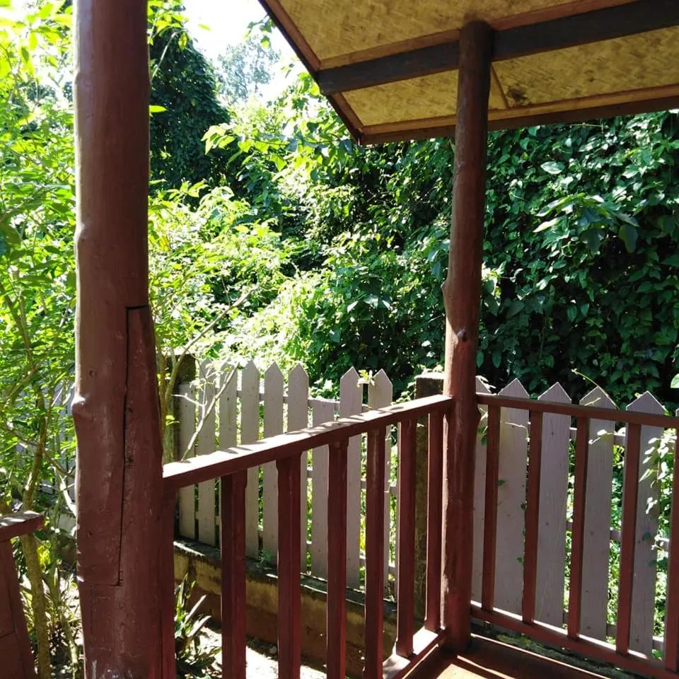 At Home Chiang Dao, Pooch Lovers